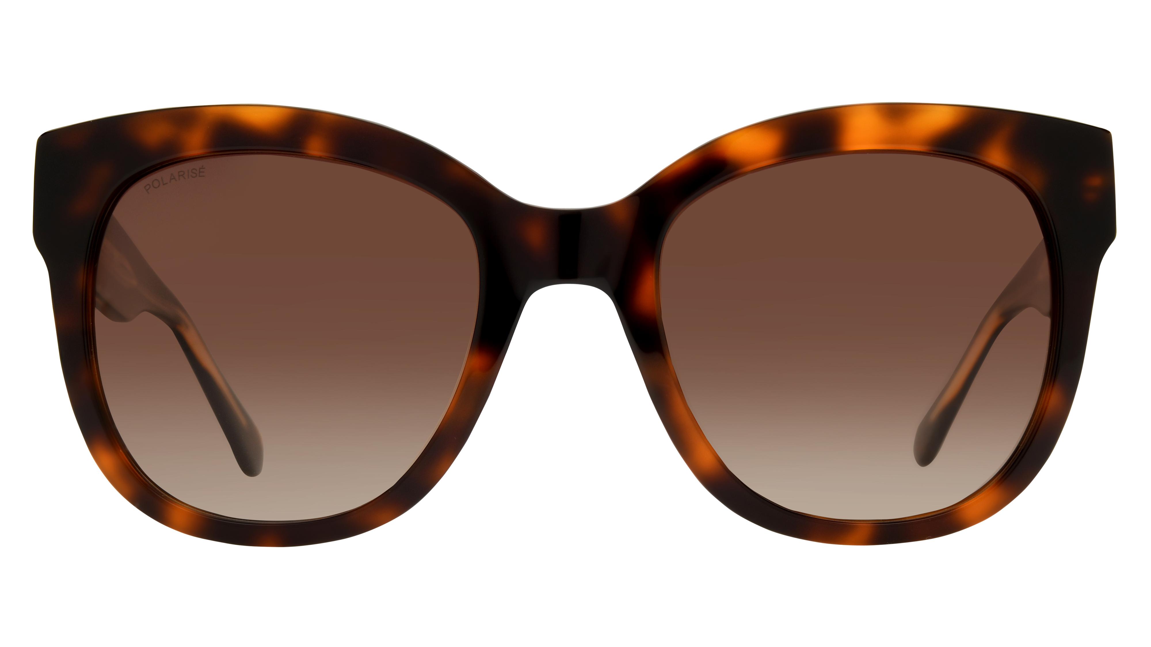 Lunettes de soleil Signature Krys Femme Écaille Papillon Skj2524-F Face