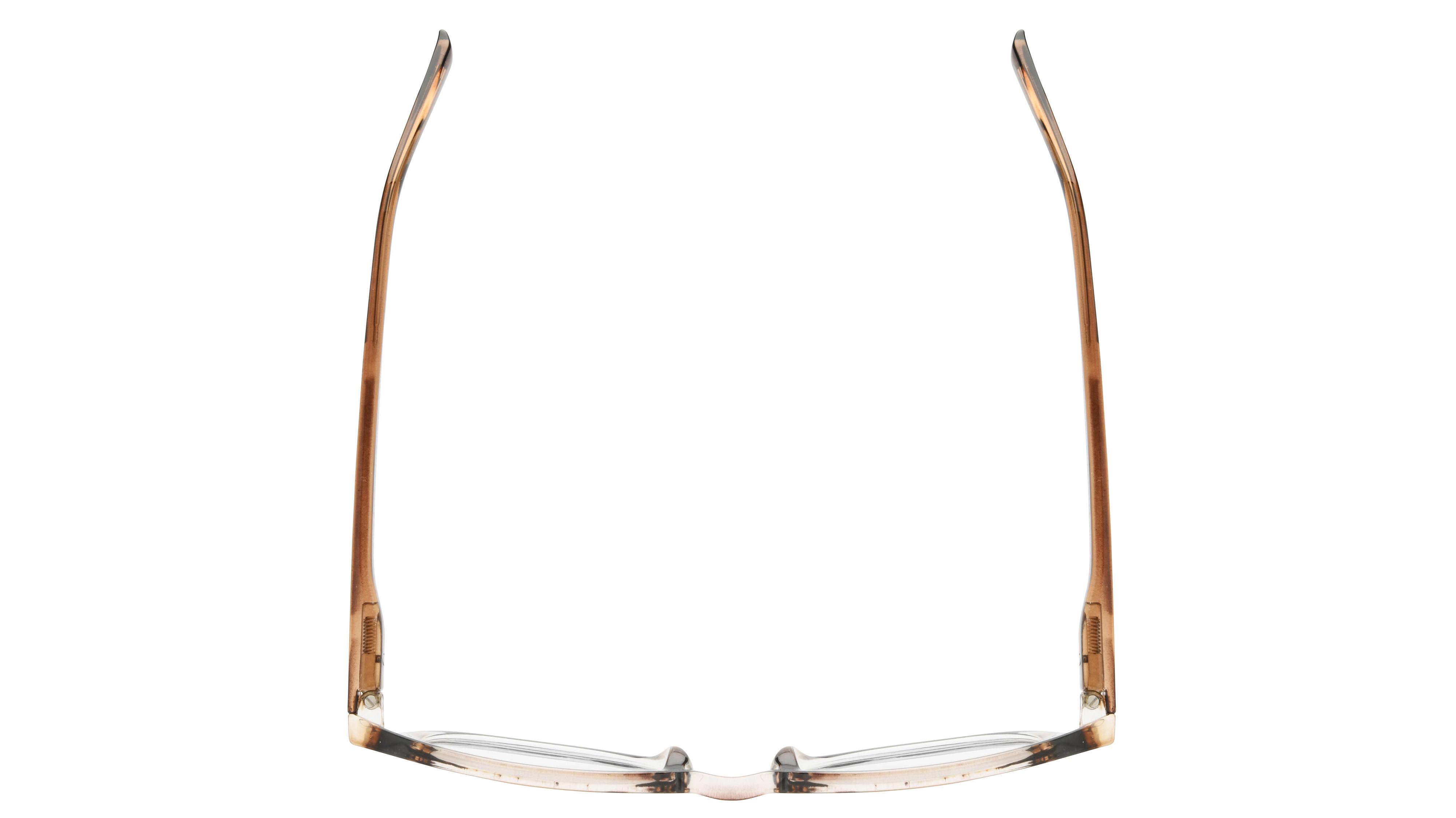 Lunettes anti-lumière bleue Signature Krys Mixte Marron Pantos Skpap-E2302 Dessus