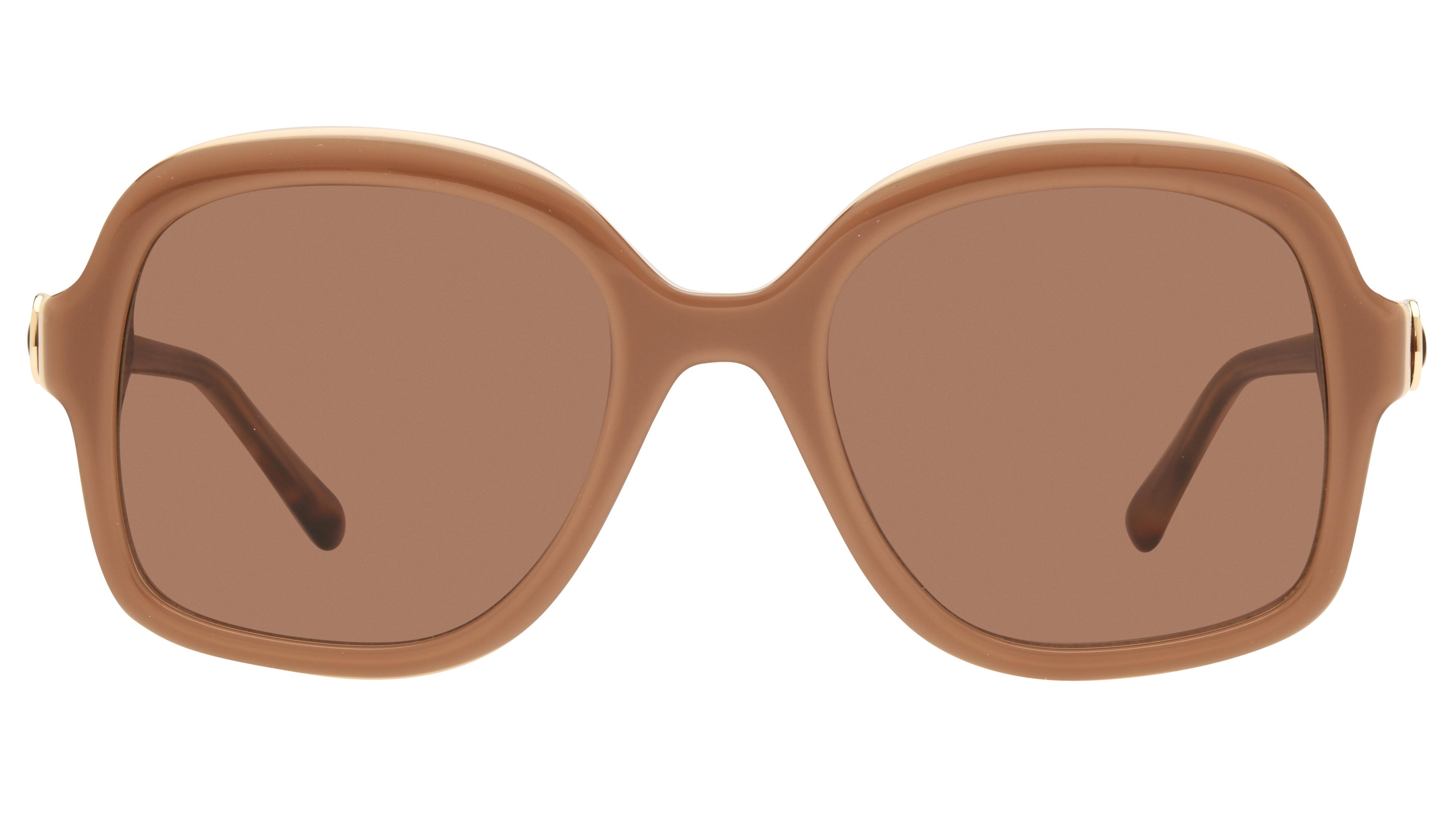 Lunettes de soleil Sandro Femme Marron Rectangle Sd6074 Face