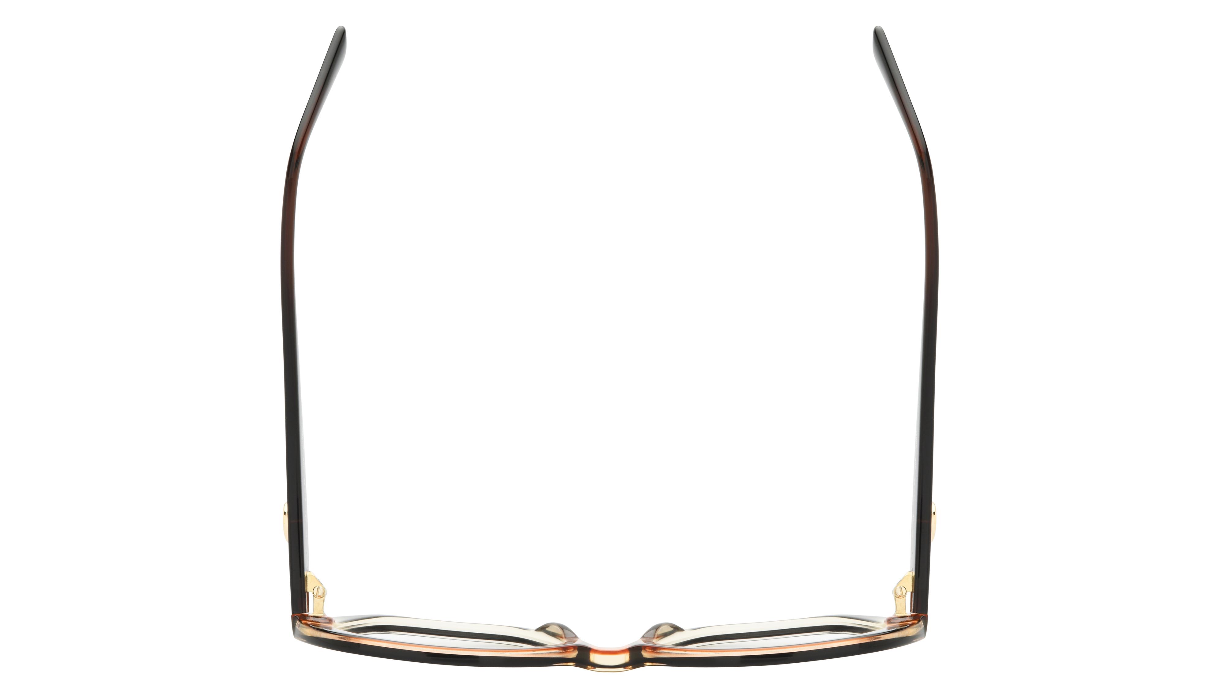 Lunettes de vue Longchamp Femme Marron Rectangle Lo759 Dessus