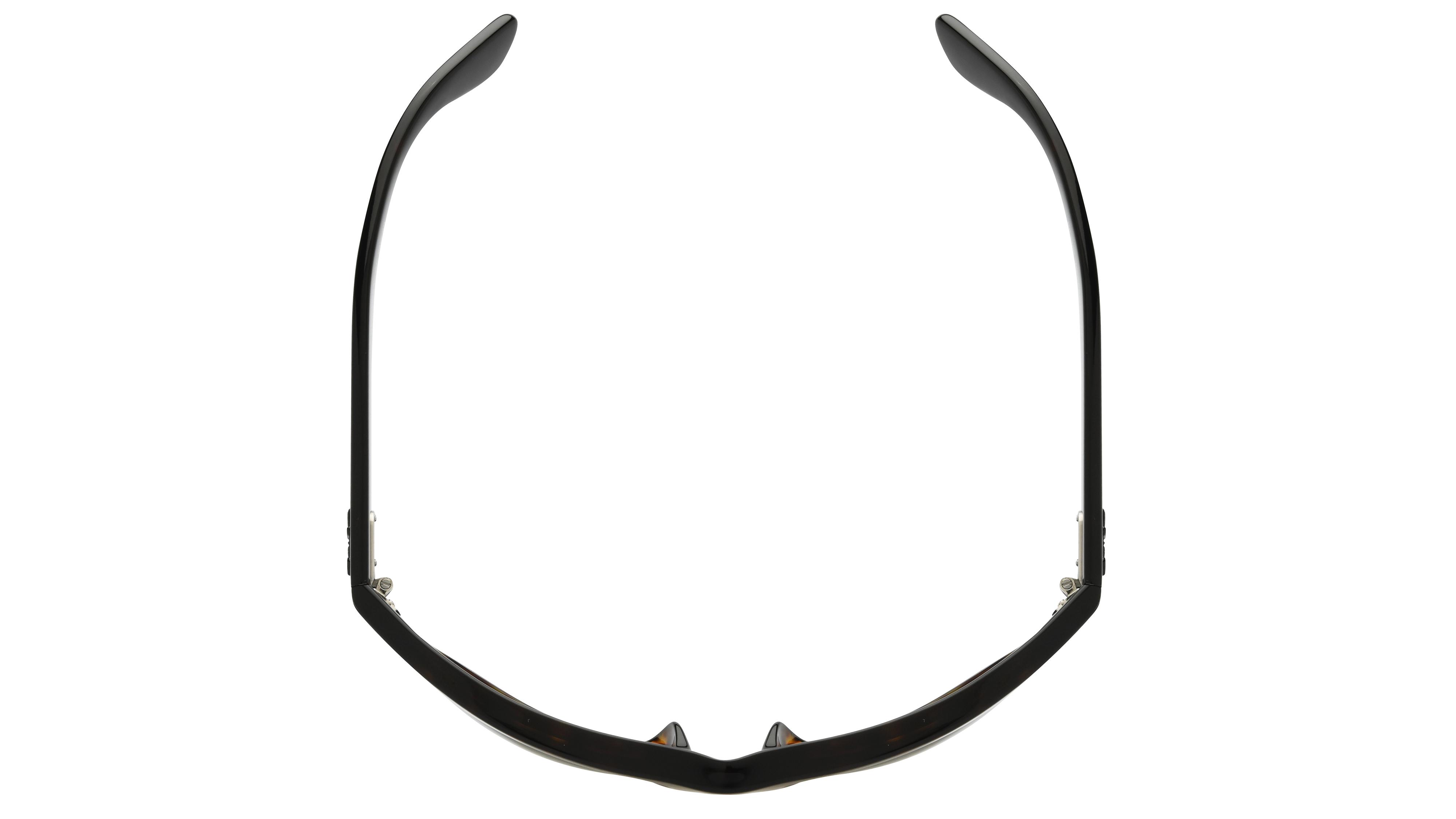 Lunettes de soleil Ray-Ban Mixte Écaille Ovale RB2289 Dessus