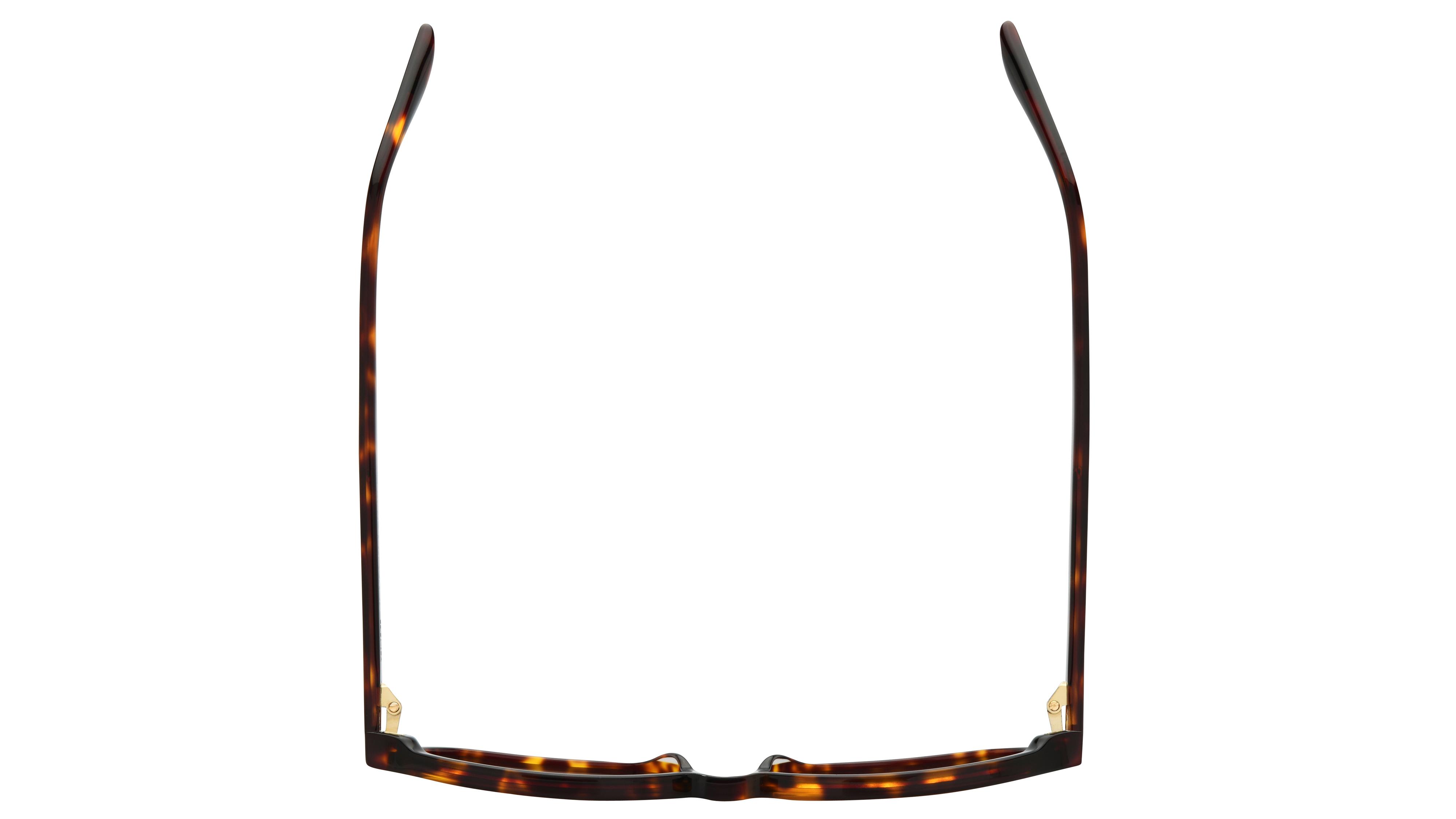 Lunettes de soleil Signature Krys Femme Écaille Rectangle audacieuse Dessus