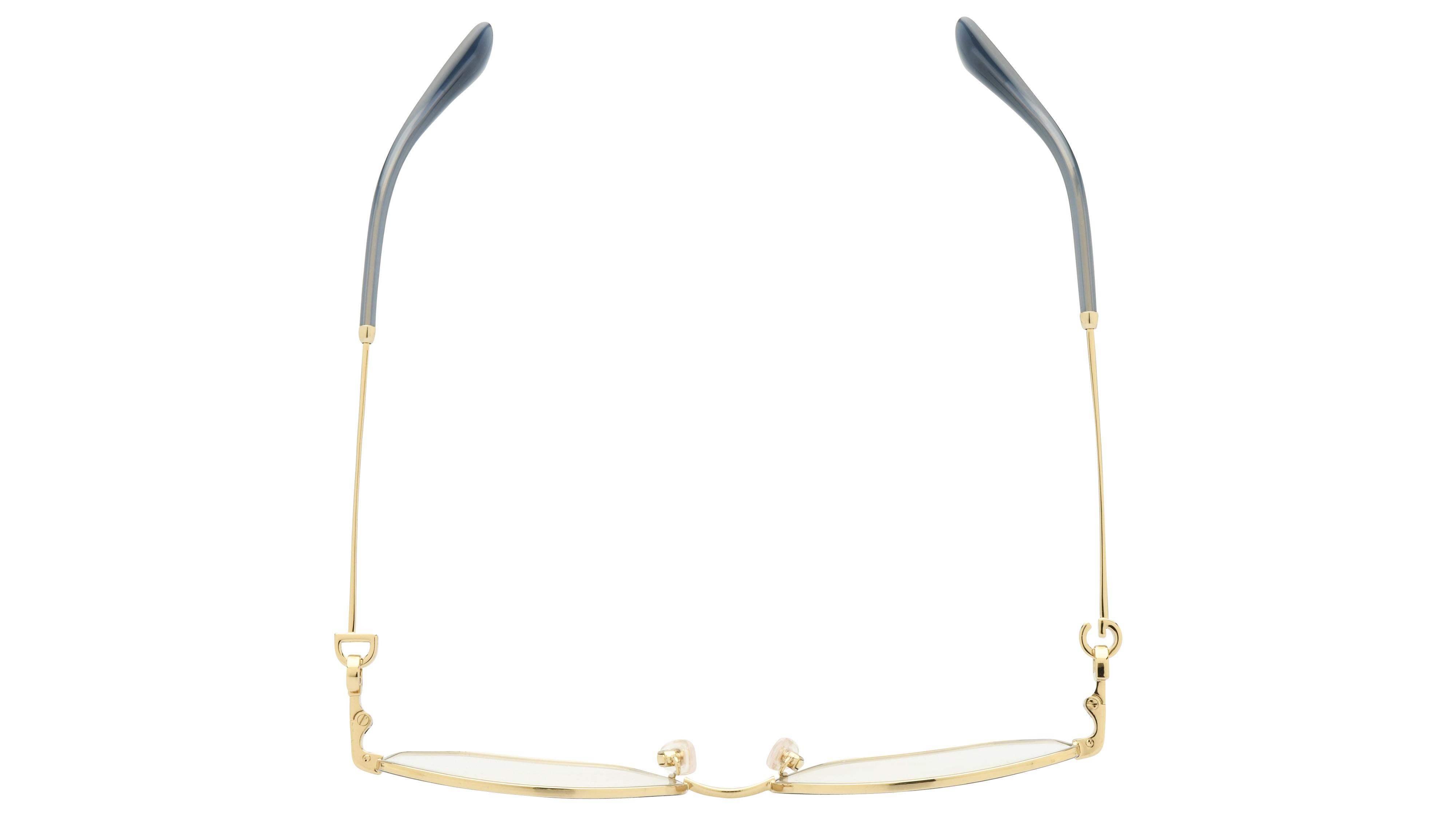 Lunettes de vue  Femme Bleu Pantos dg1356 Dessus