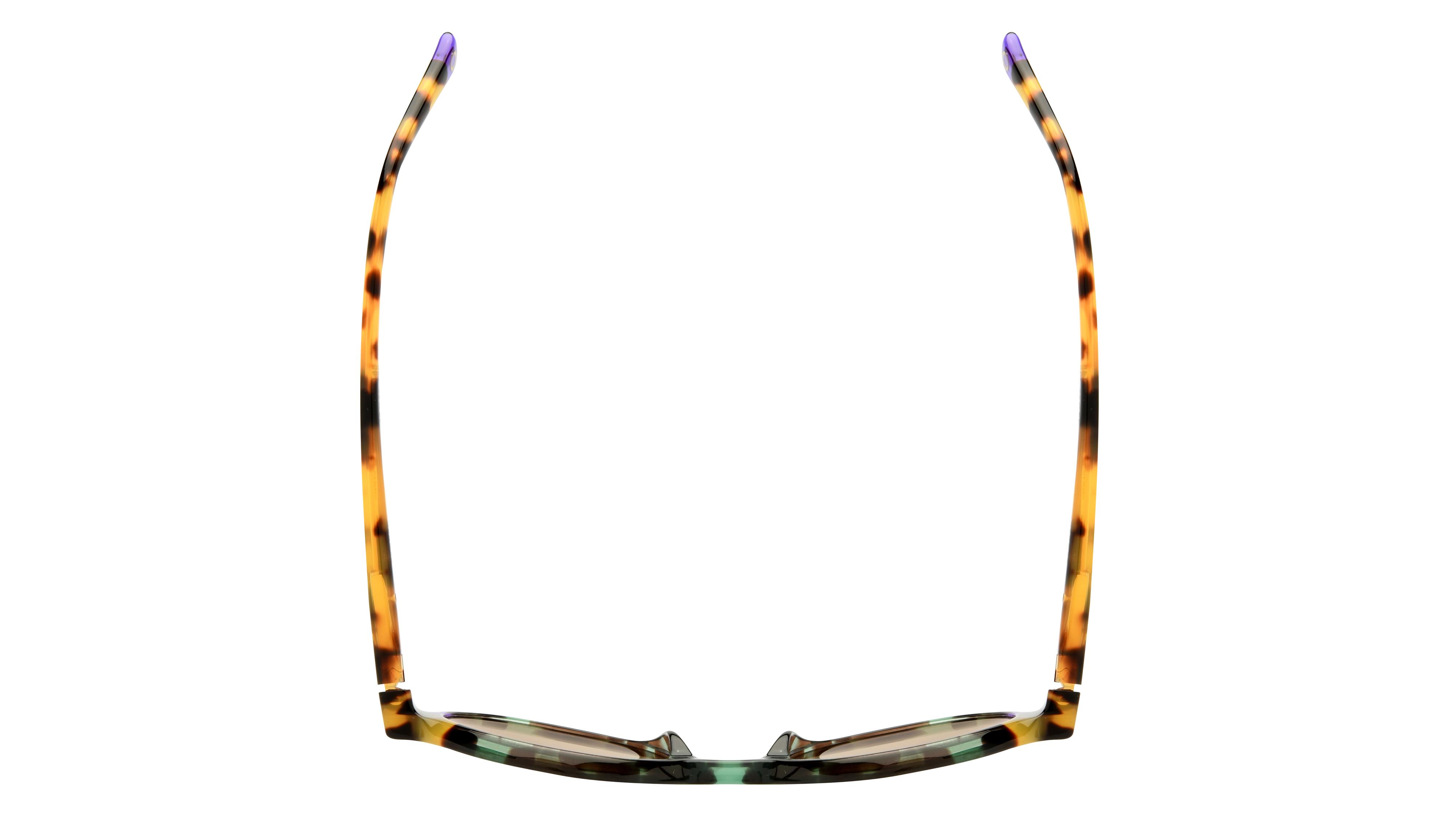 Lunettes de soleil Etnia Barcelona Femme Écaille Ronde Sagrera Dessus