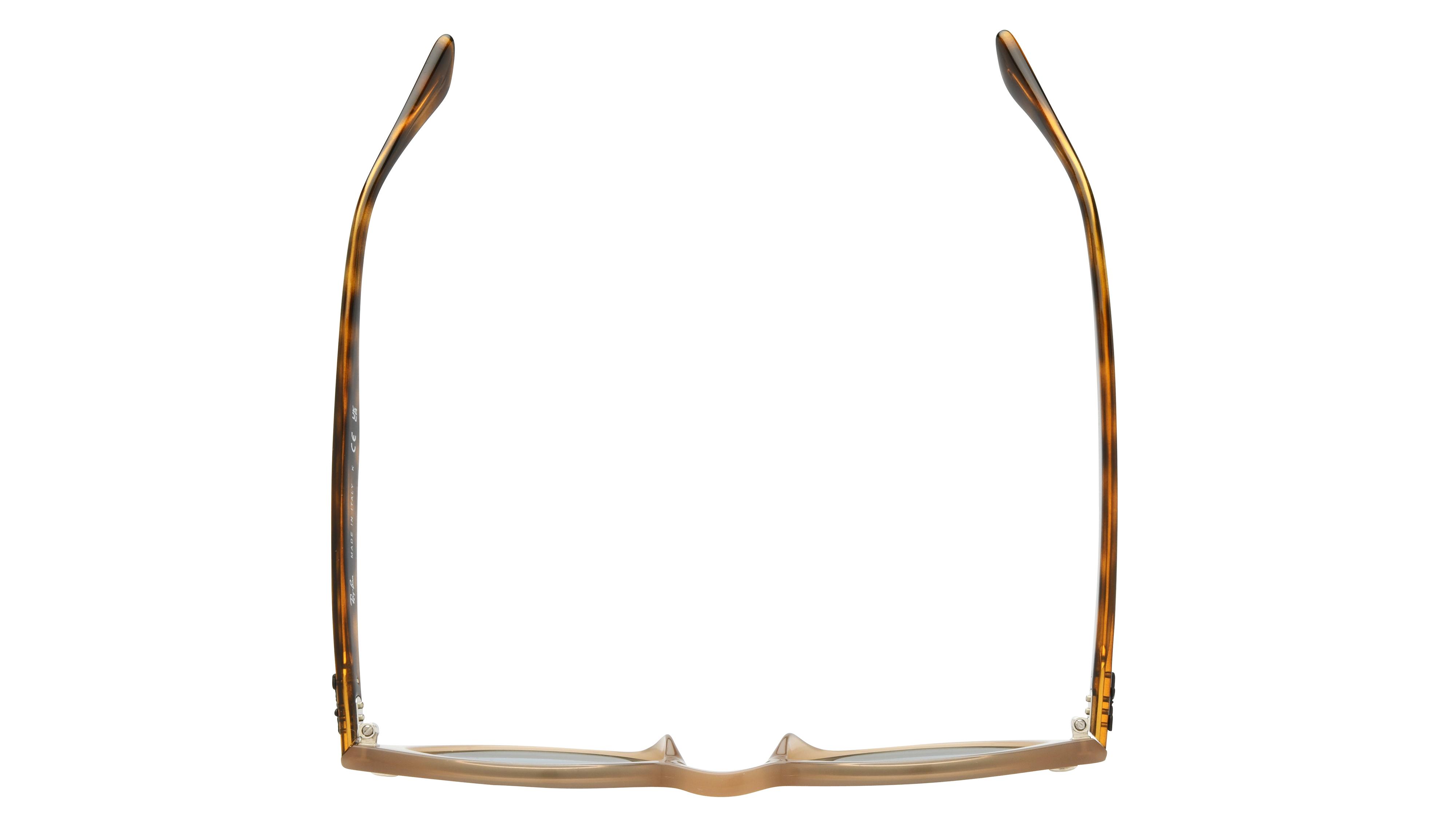 Lunettes de soleil Ray-Ban Mixte Marron Pantos RB2180 Dessus