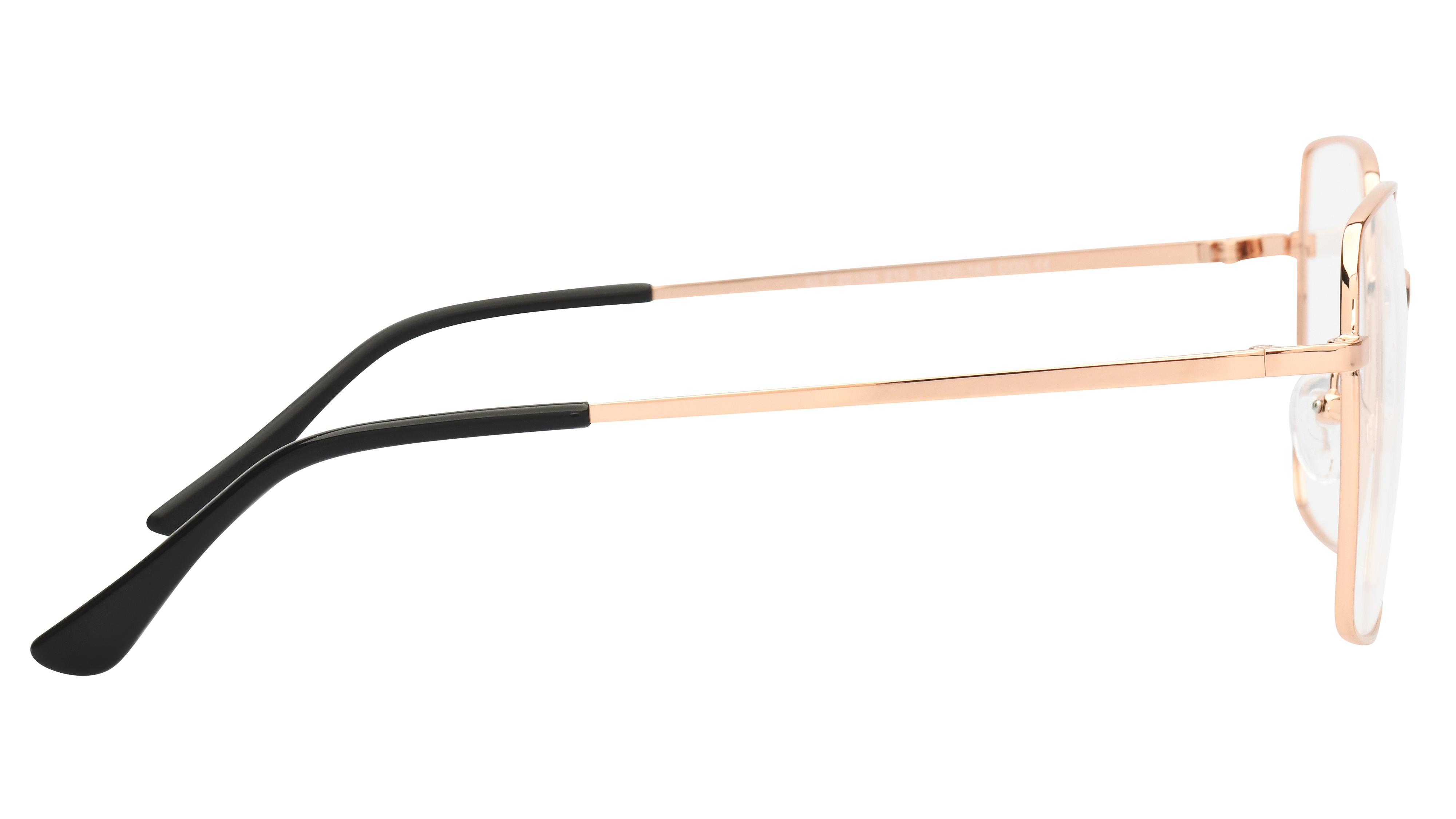 Eprotect krys 2025