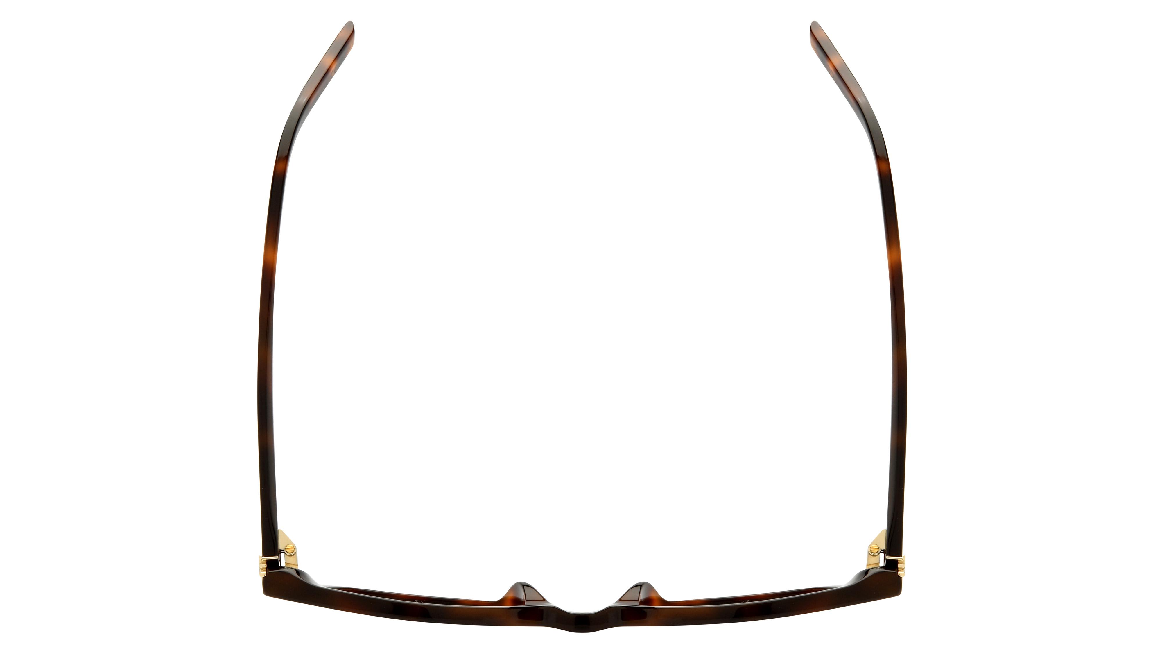 Lunettes de soleil Saint Laurent Mixte Écaille Papillon SL Dessus