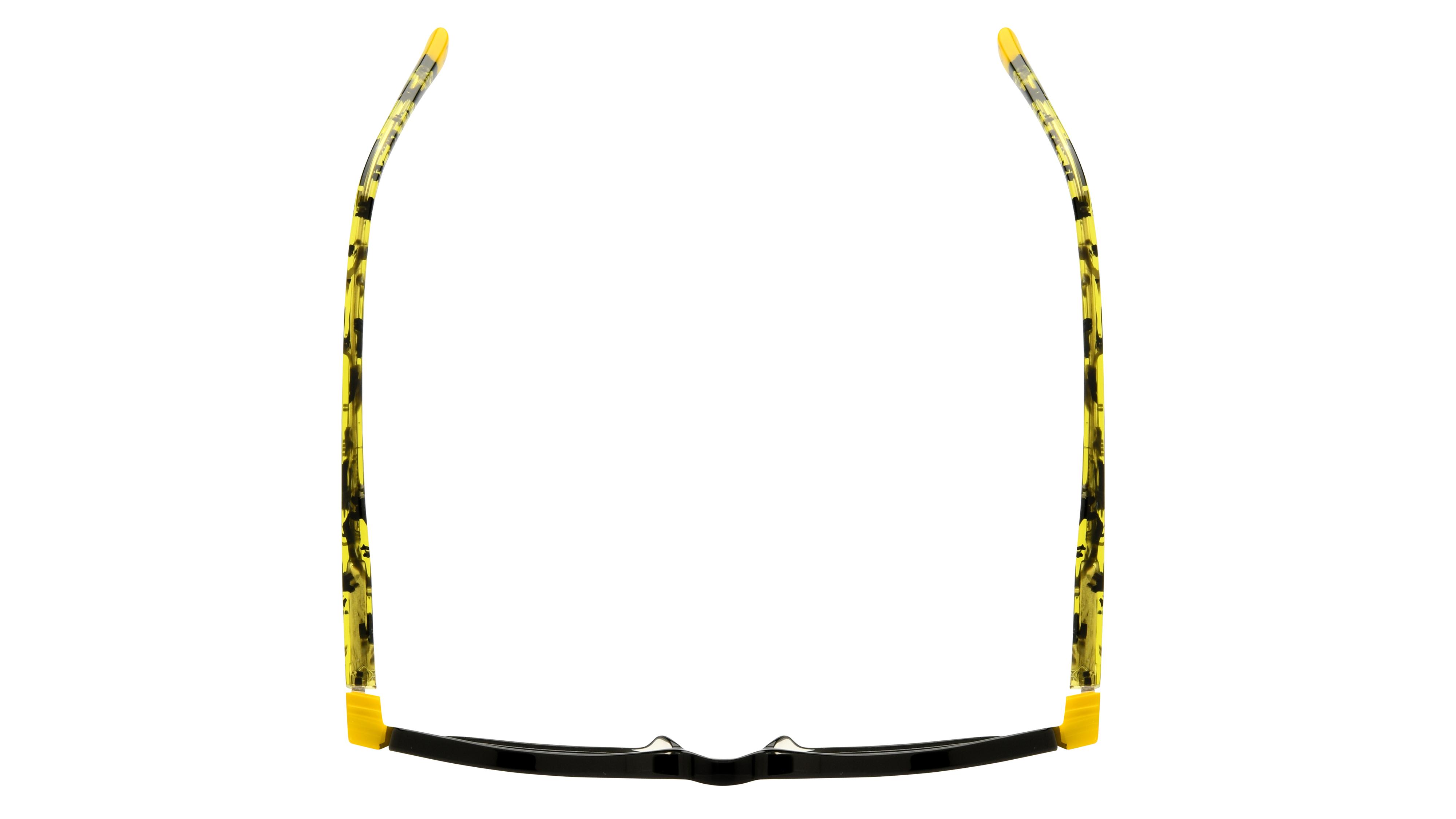 Lunettes de vue Etnia Barcelona Femme Noir Pantos Dakota Dessus