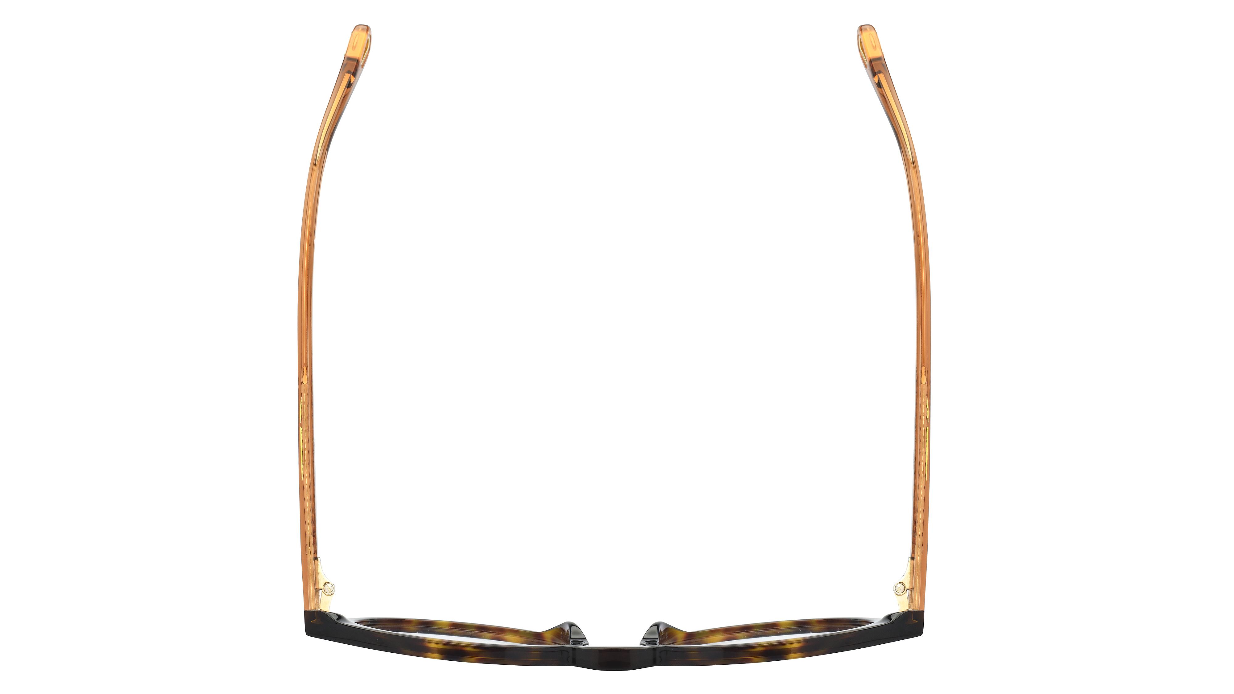 Lunettes de vue Chloé Femme Écaille Pantos Ch0012O Dessus