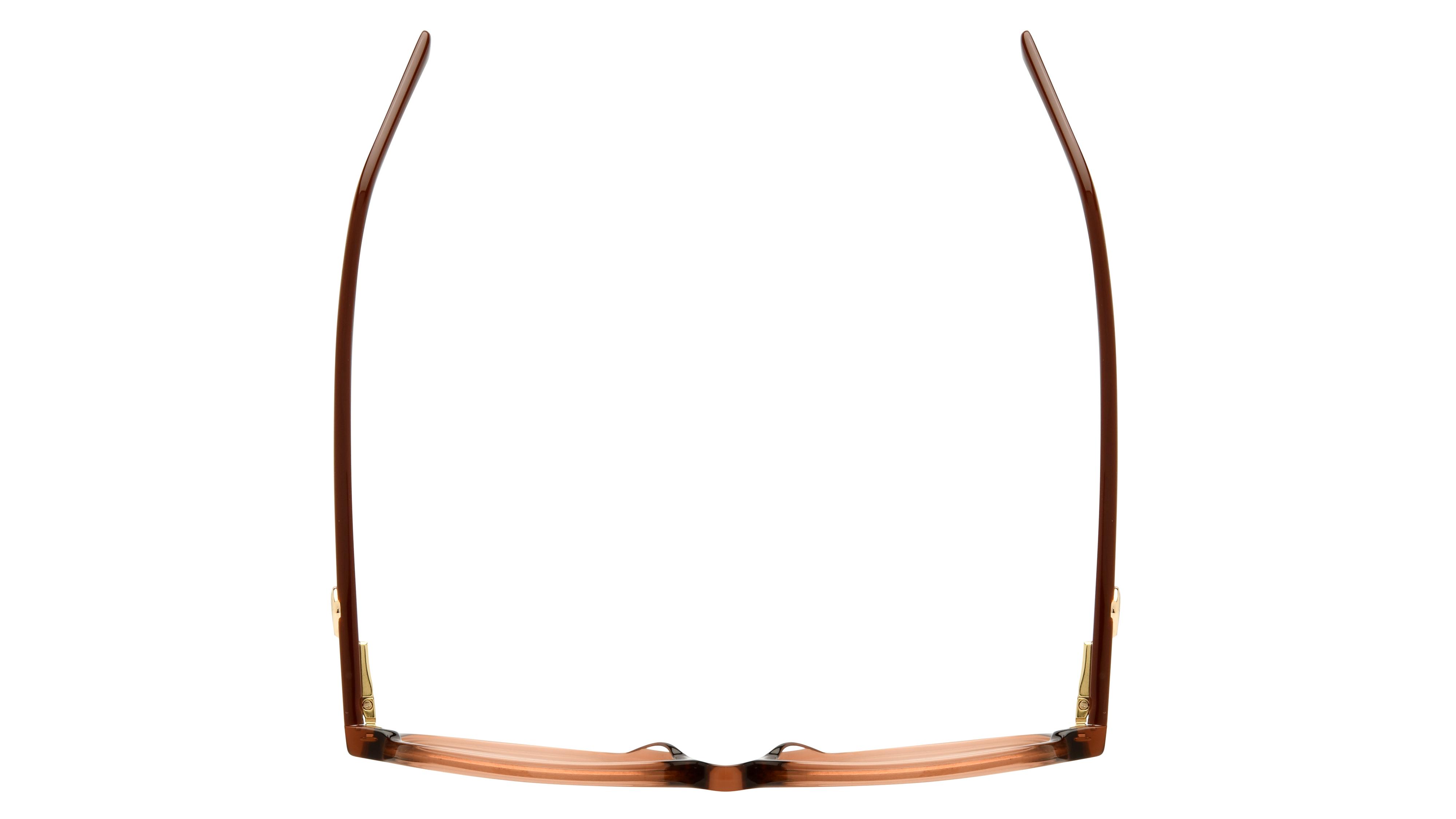 Lunettes de vue Longchamp Femme Marron Carré Lo2757 Dessus