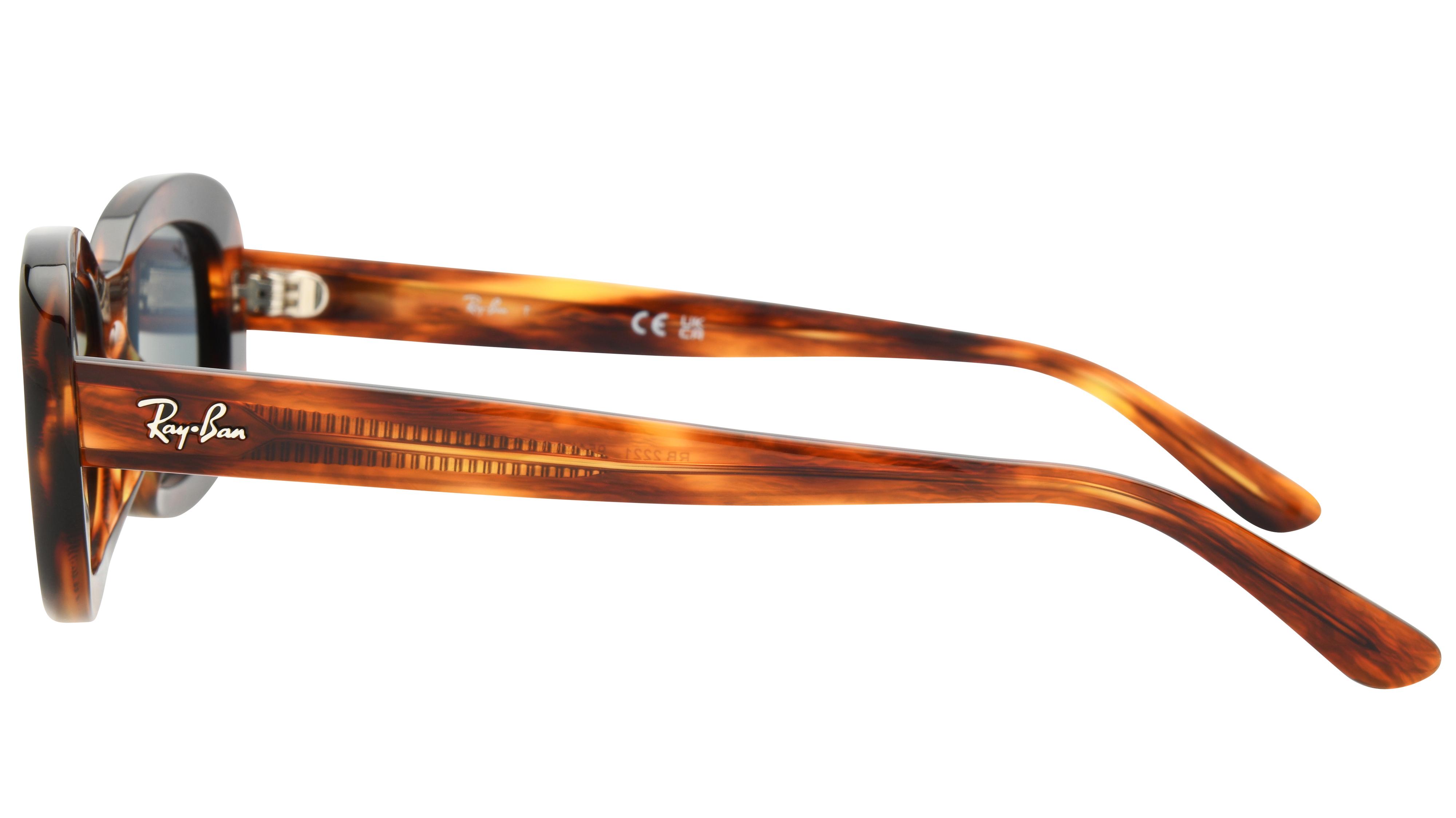 Lunettes de soleil Ray-Ban Femme Marron Ovale RB2221 Gauche