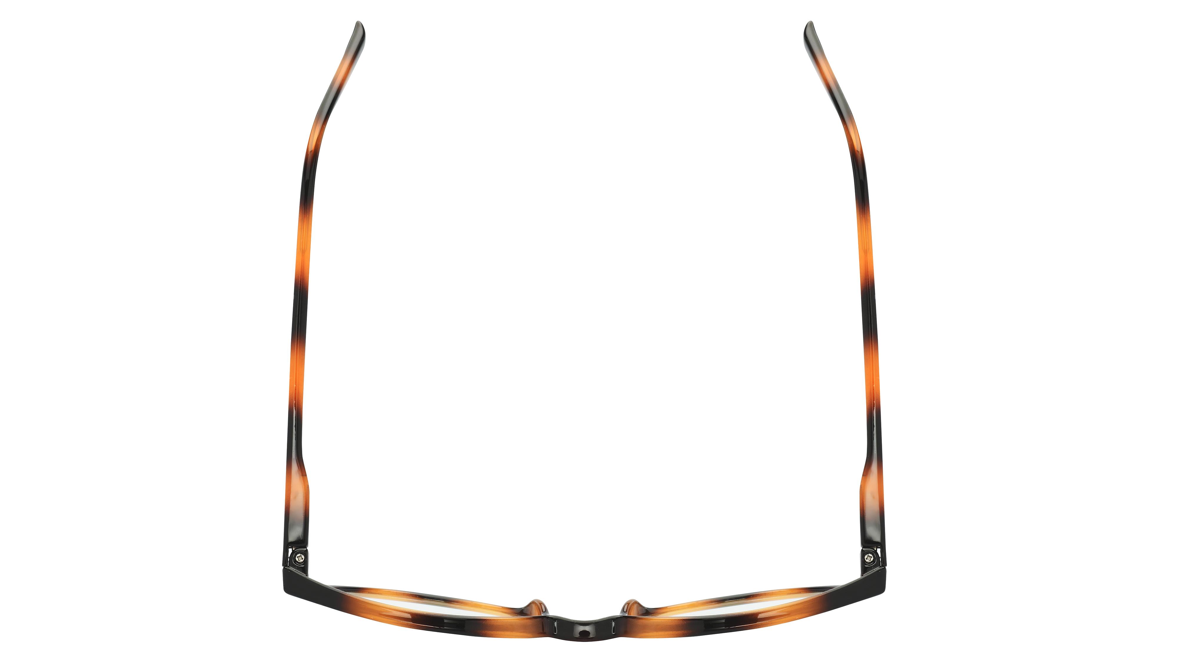 Lunettes anti-lumière bleue Signature Krys Femme Écaille Ronde Skpap-E2108 Dessus