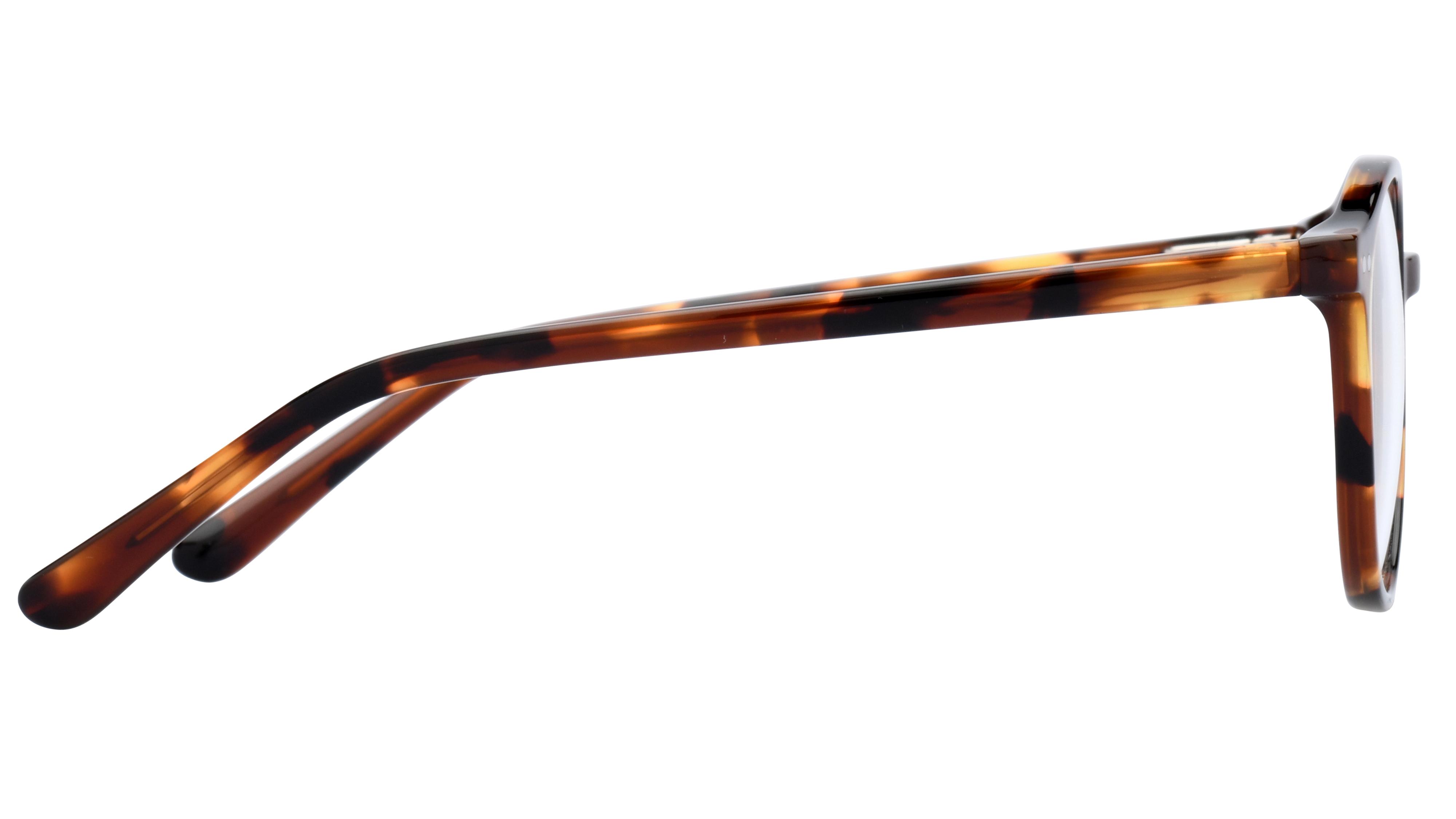Lunettes de vue têtes à TETES Enfant Écaille Pantos Tat2307E+ Droite