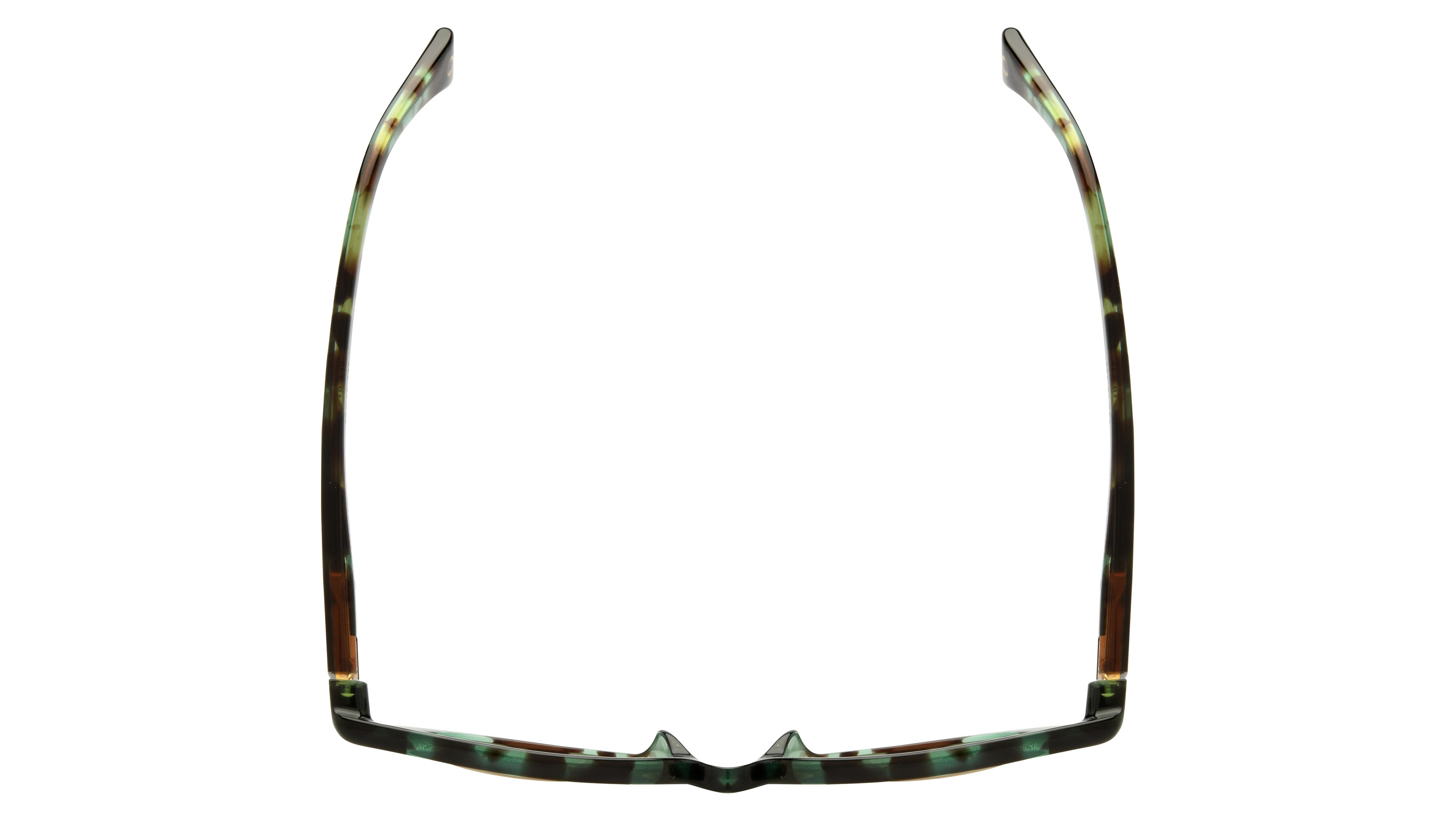 Lunettes de soleil Etnia Barcelona Femme Écaille Papillon Marilyn Dessus