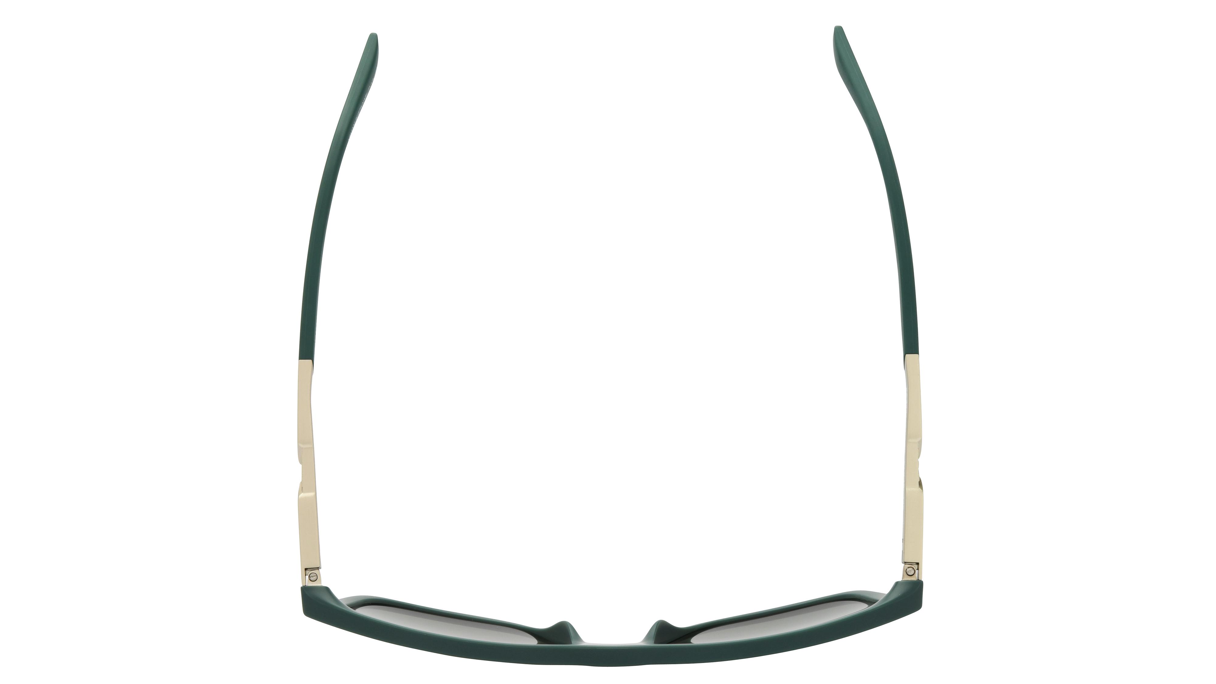 Lunettes de soleil Emporio Armani Homme Vert Rectangle EA4237 Dessus