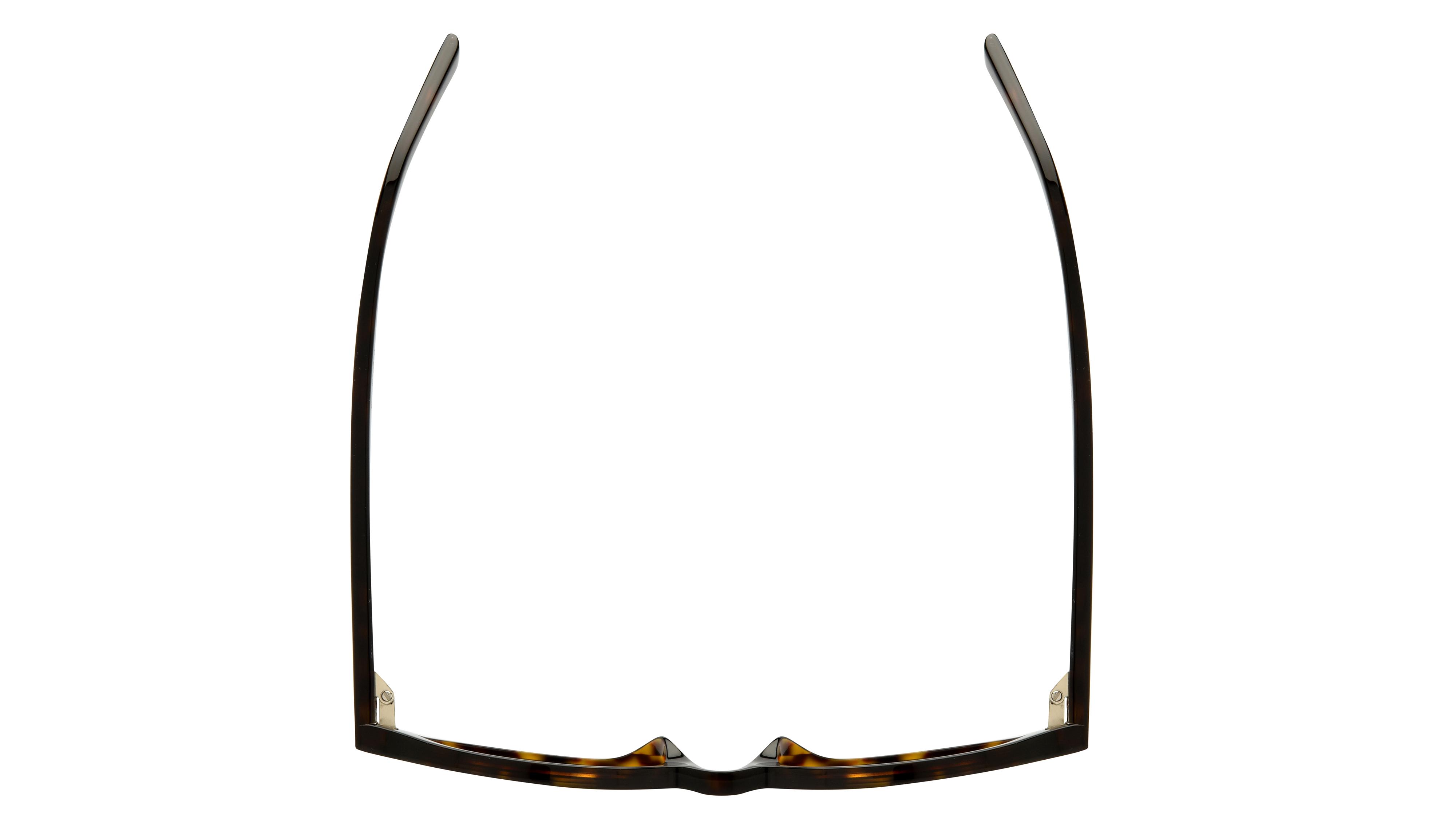 Lunettes de soleil Saint Laurent Mixte Écaille Ovale SL Dessus
