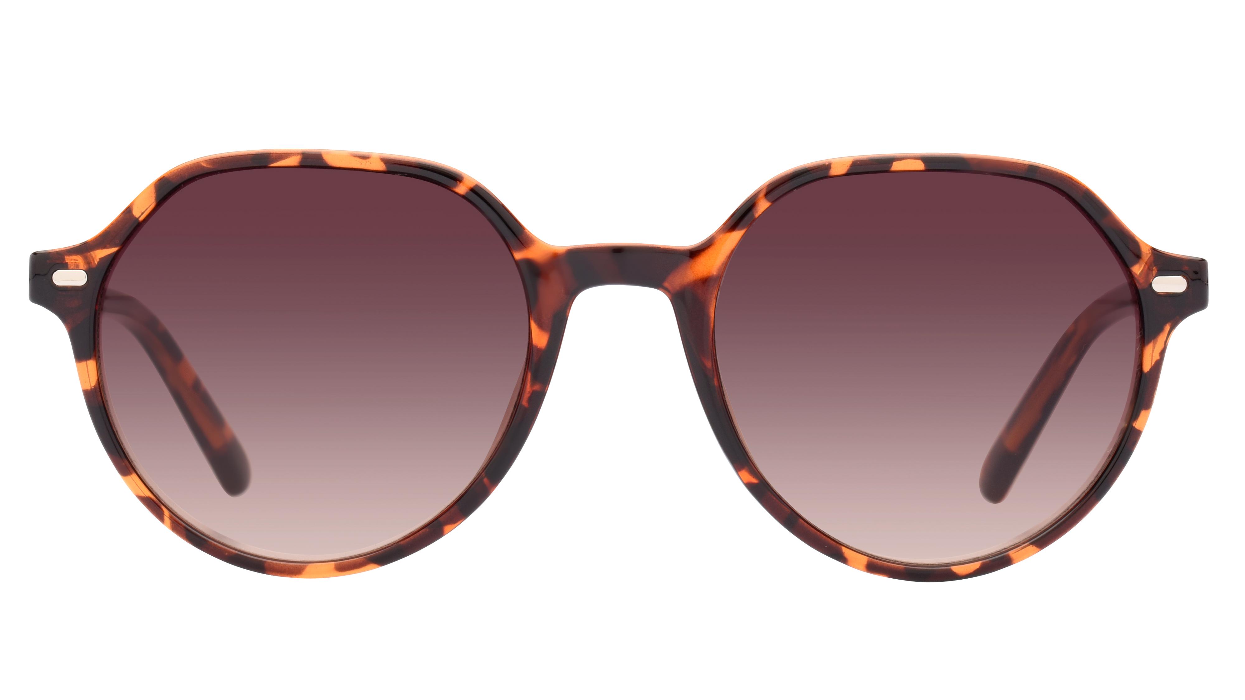 Lunettes de soleil Signature Krys Skj2319-B 330 Ecaille Crist