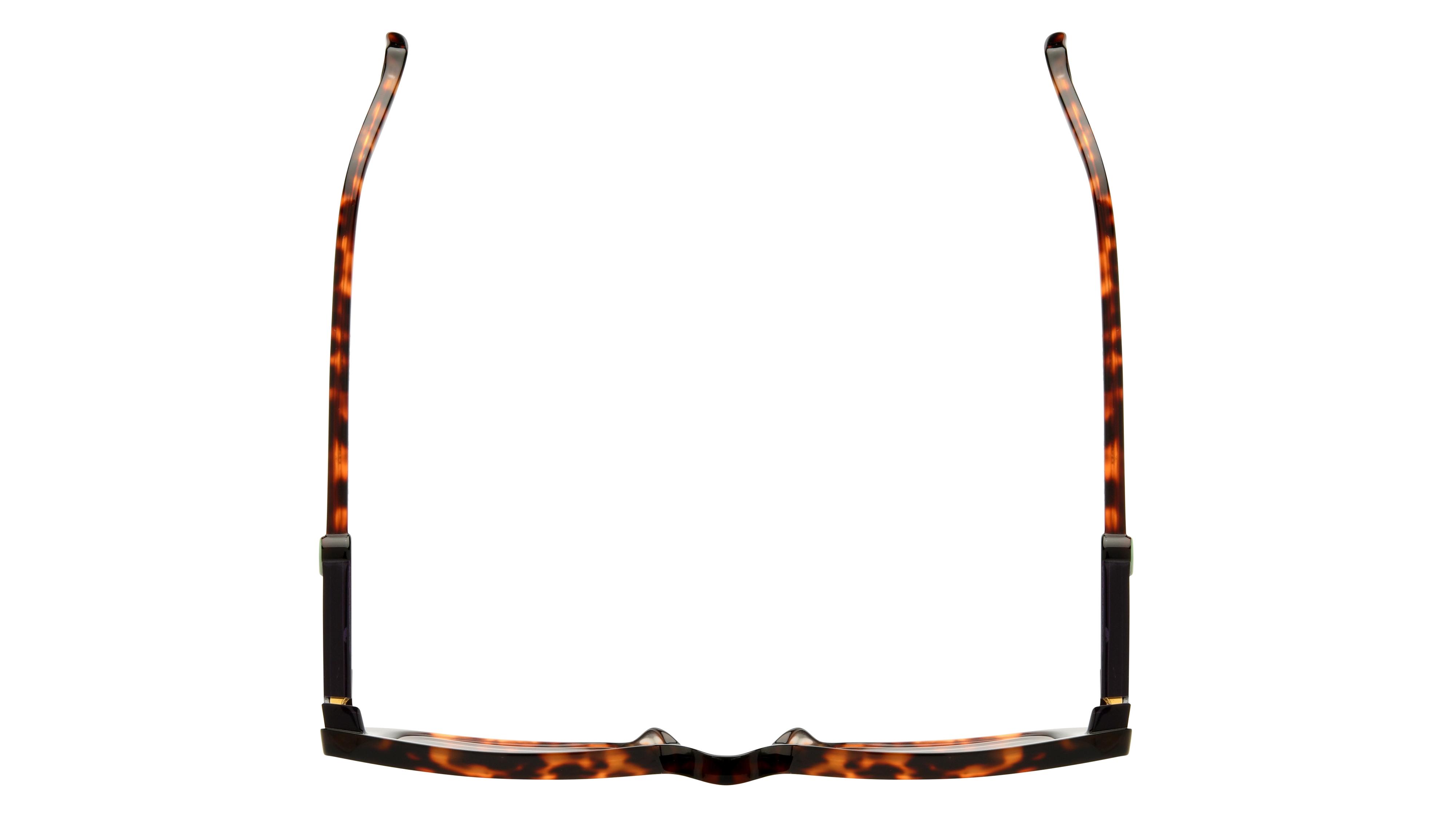 Lunettes de vue Etnia Barcelona Femme Écaille Rectangle Aria53O Dessus