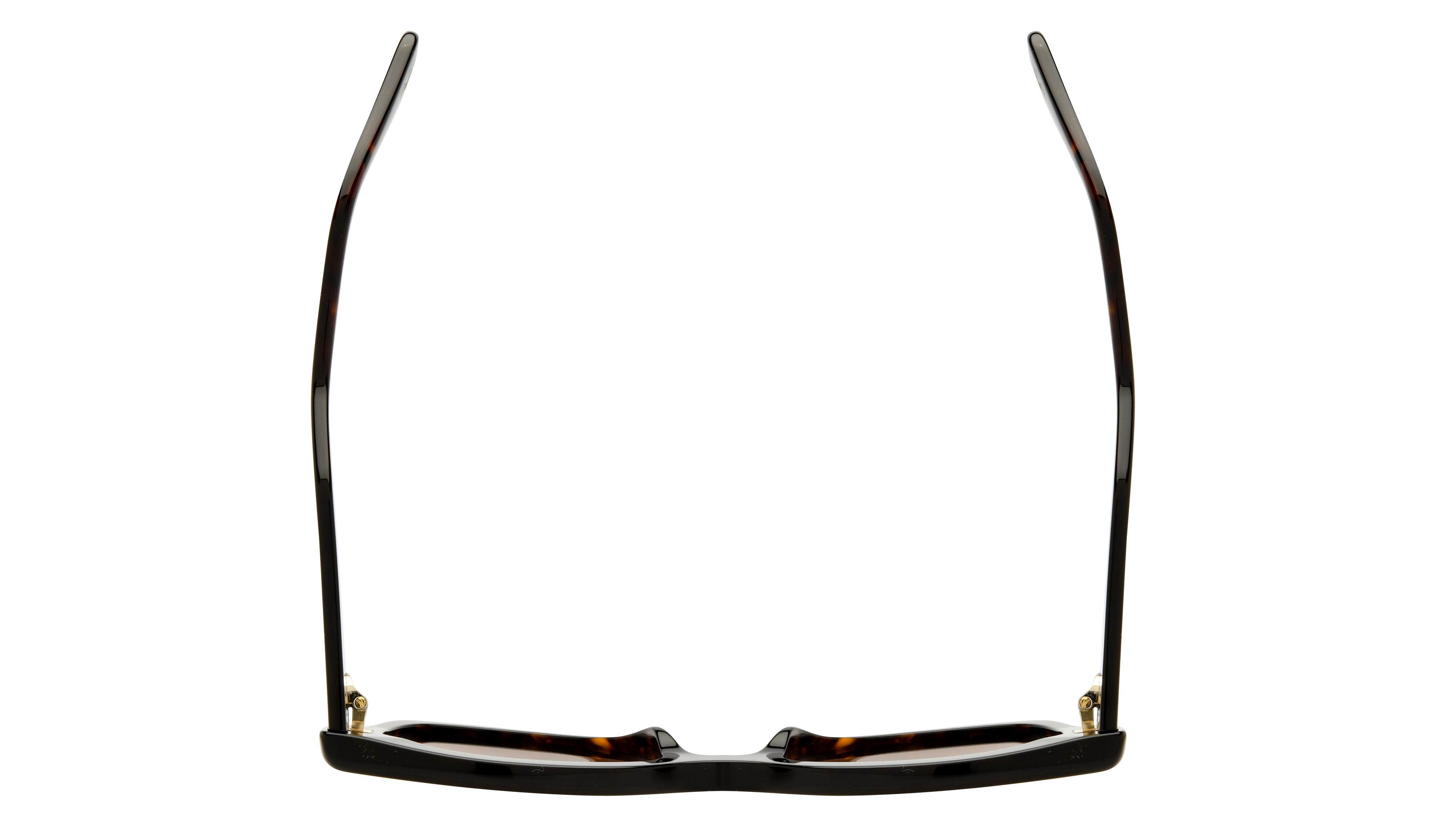 Lunettes de soleil Chloé Femme Écaille Papillon CH0252S Dessus