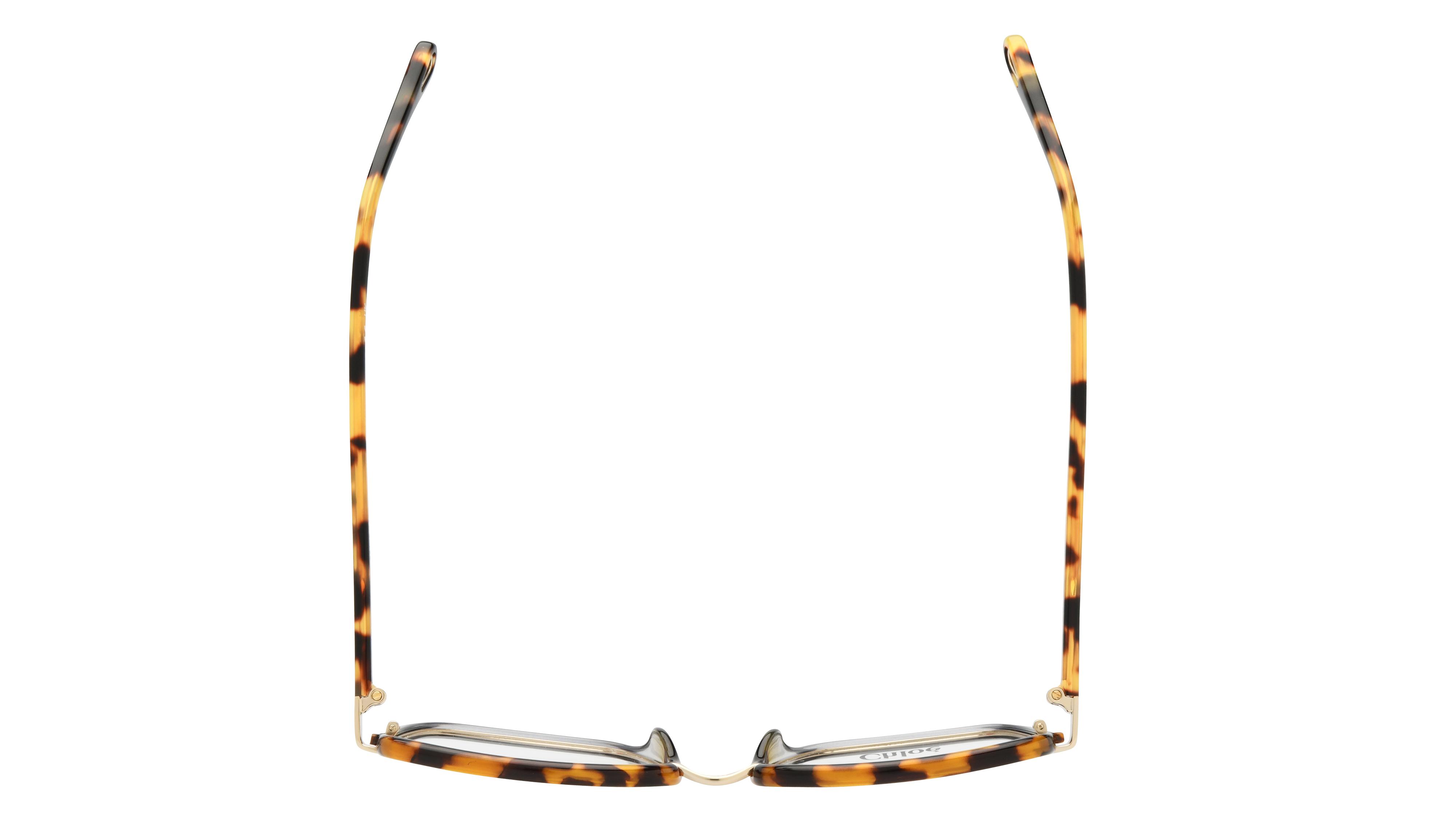 Lunettes de vue Chloé Femme Marron Carré CH0034O Dessus