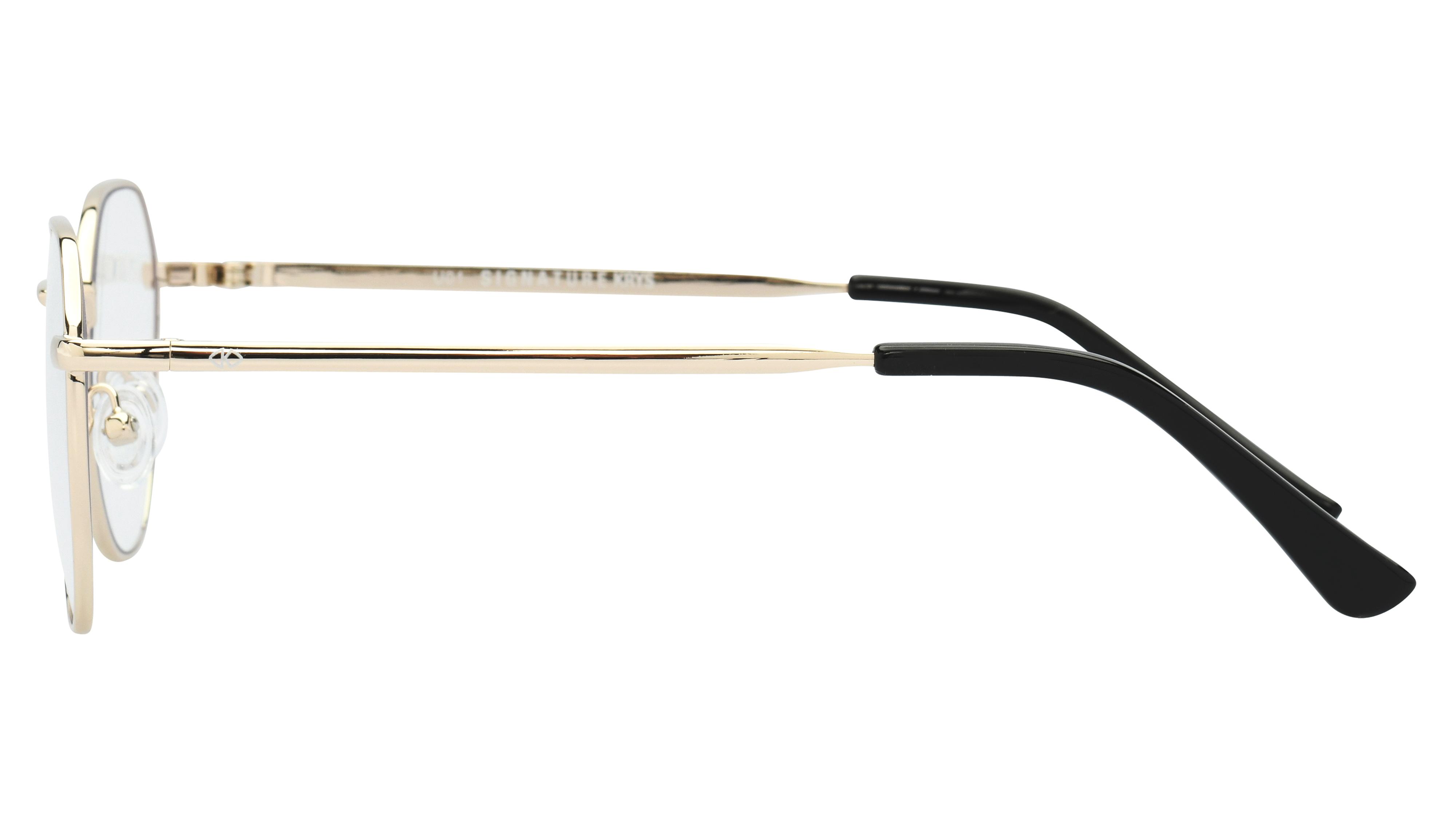 Lunettes anti-lumière bleue Signature Krys Mixte Or Ronde Skpap-E2101 Gauche