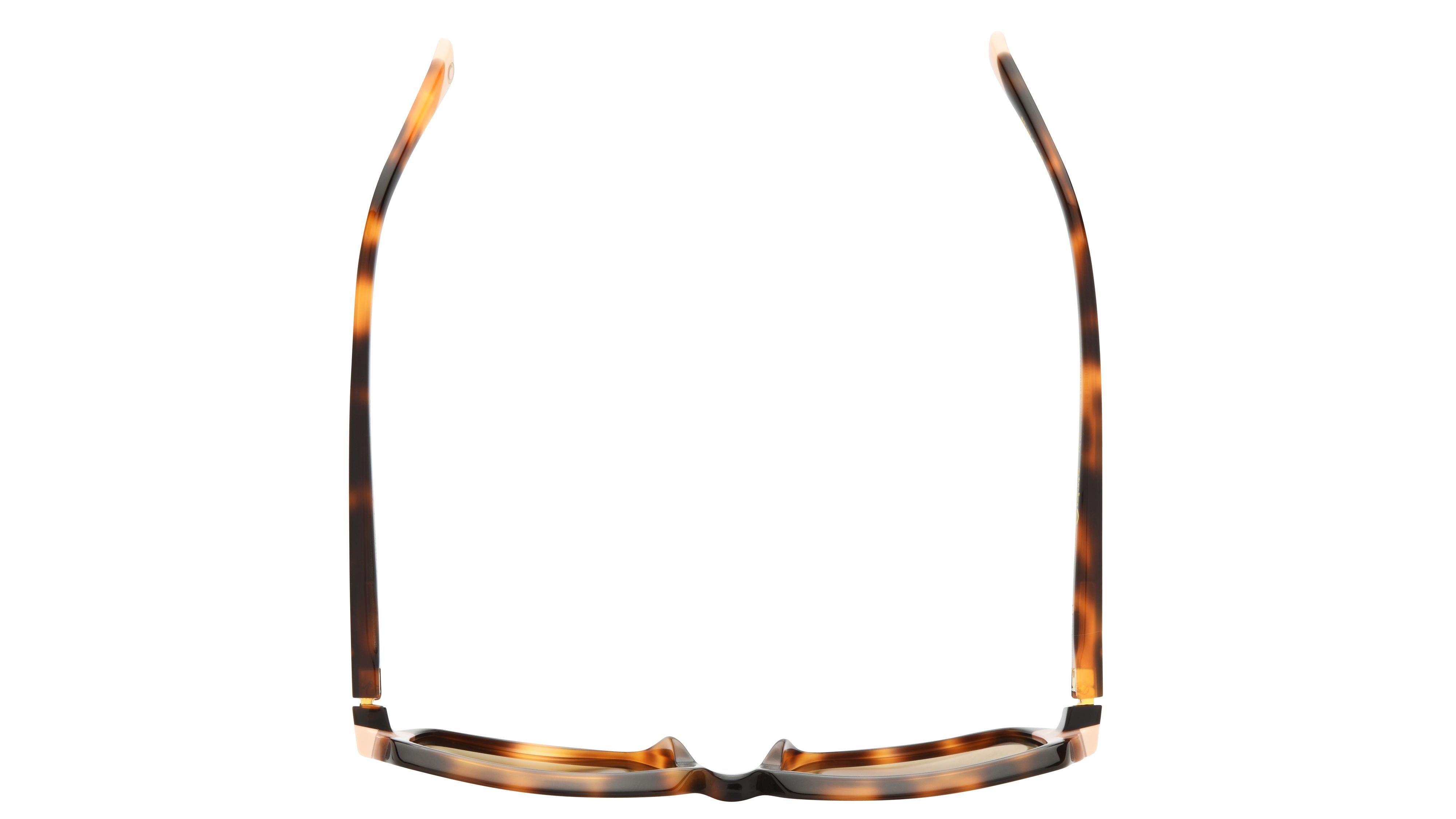 Lunettes de soleil Etnia Barcelona Femme Écaille Rectangle ALMEDA Dessus