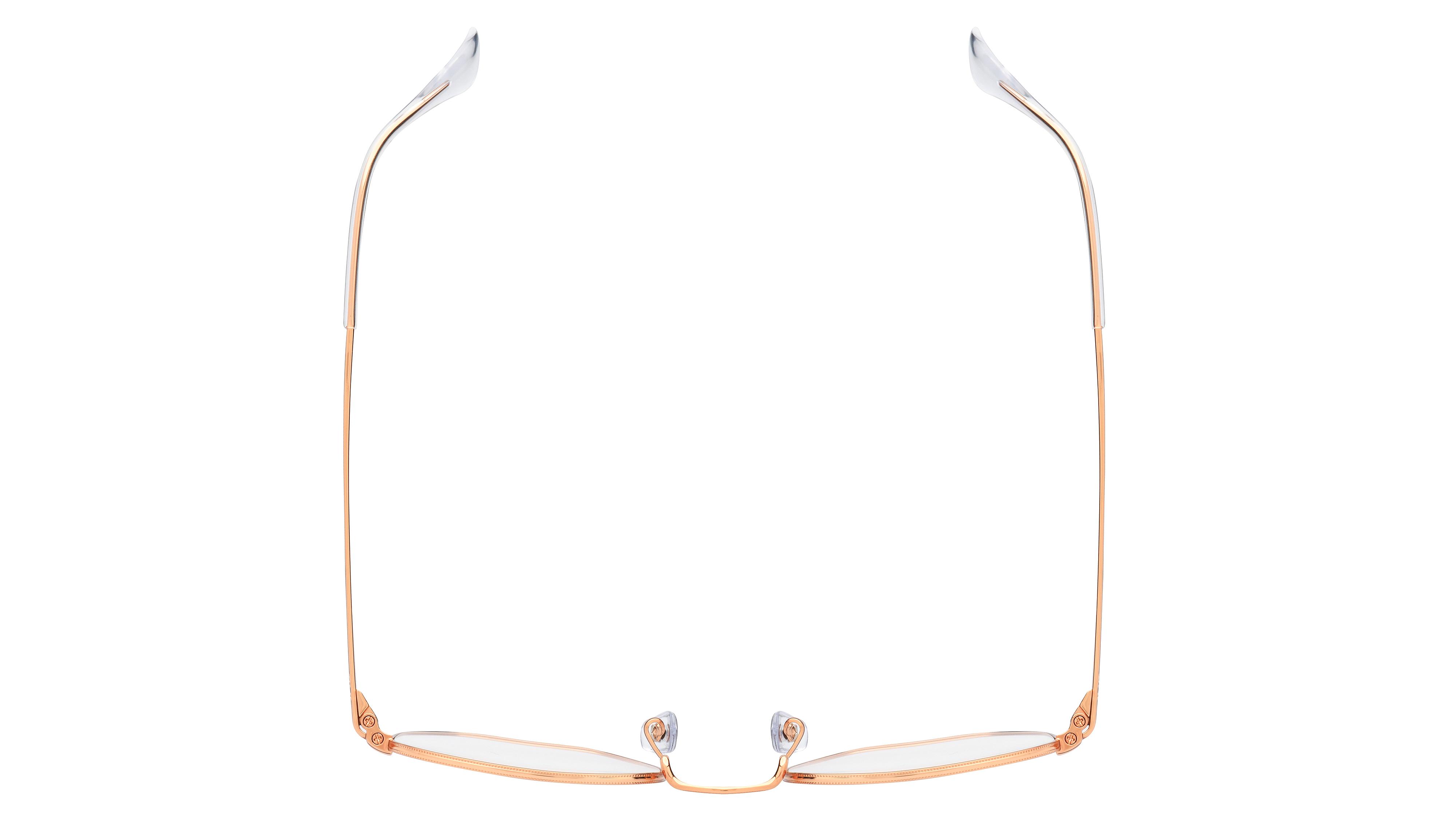 Lunettes de vue Ray-Ban Mixte Or Ronde Rx6448 Dessus