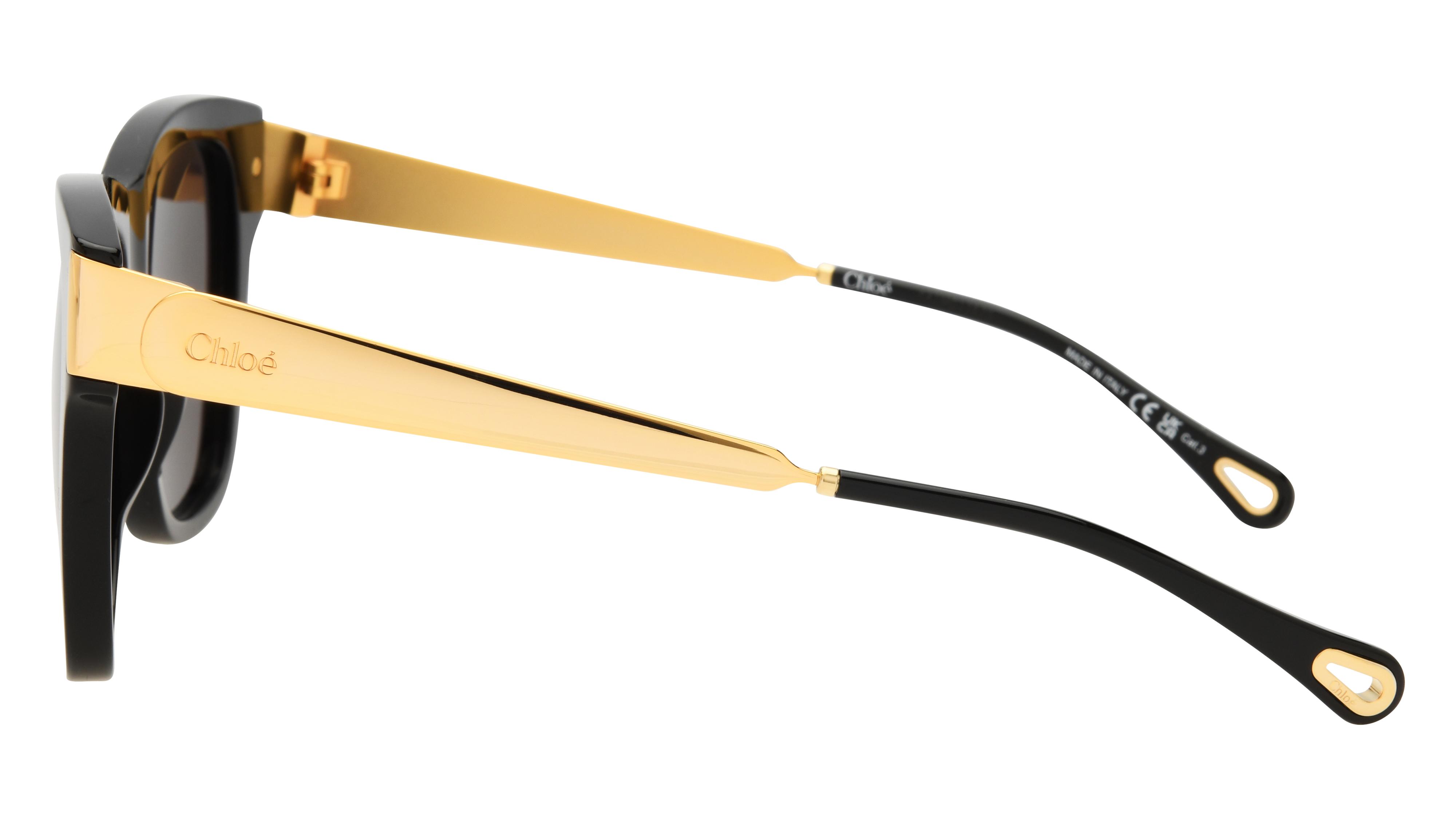 Lunettes de soleil Chloé Femme Noir Papillon ch0349s Gauche