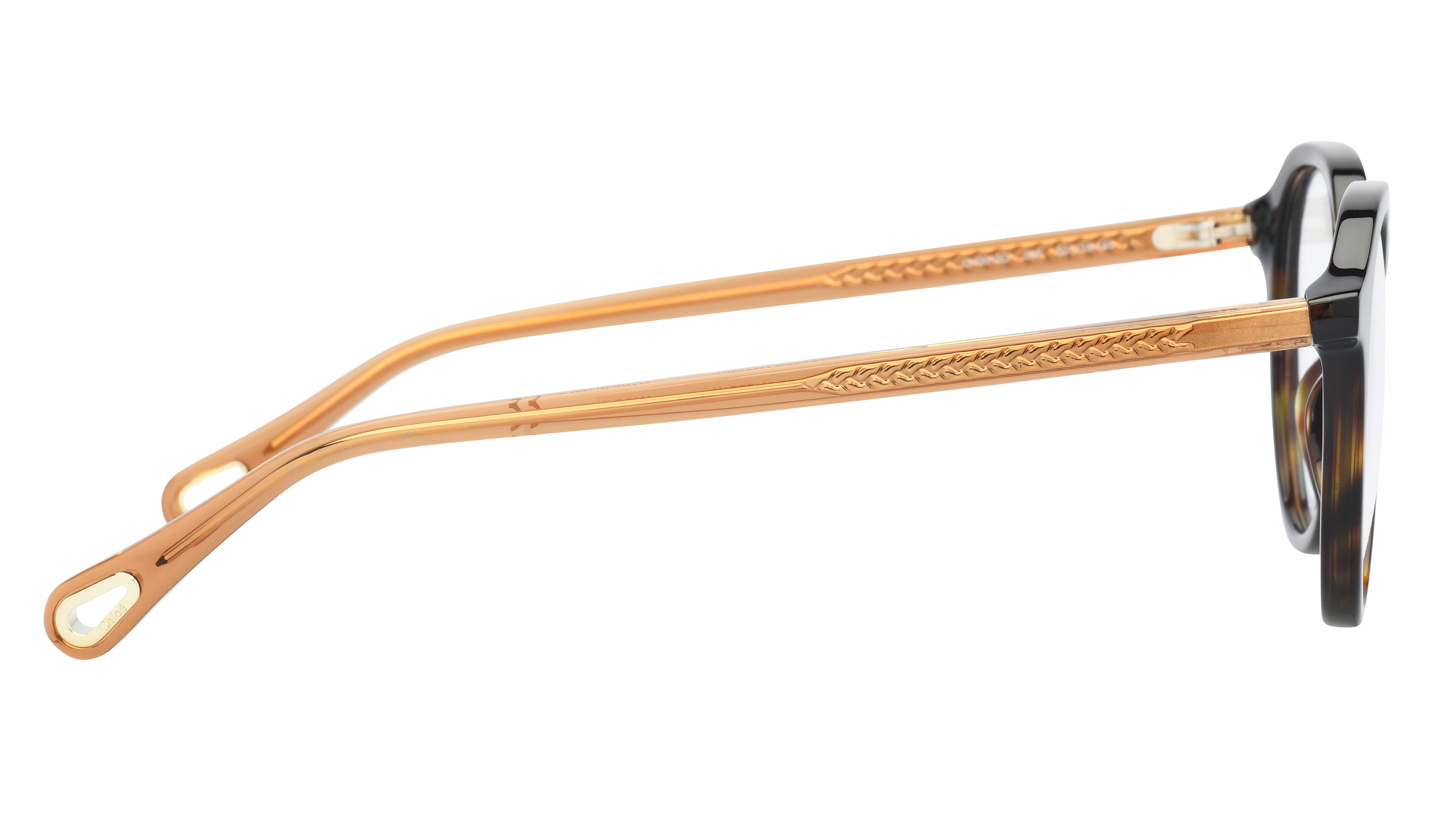 Lunettes de vue Chloé Femme Écaille Pantos Ch0012O Droite