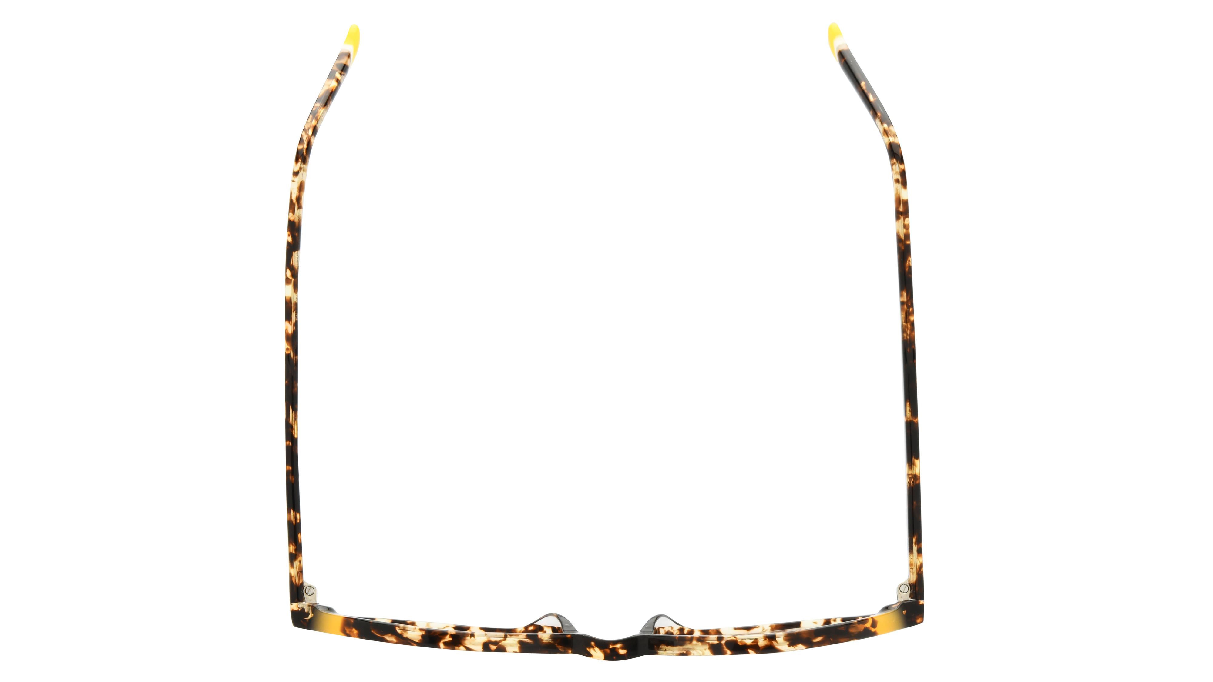 Lunettes de vue Signature Krys Femme Écaille Carré Kis2406 Dessus