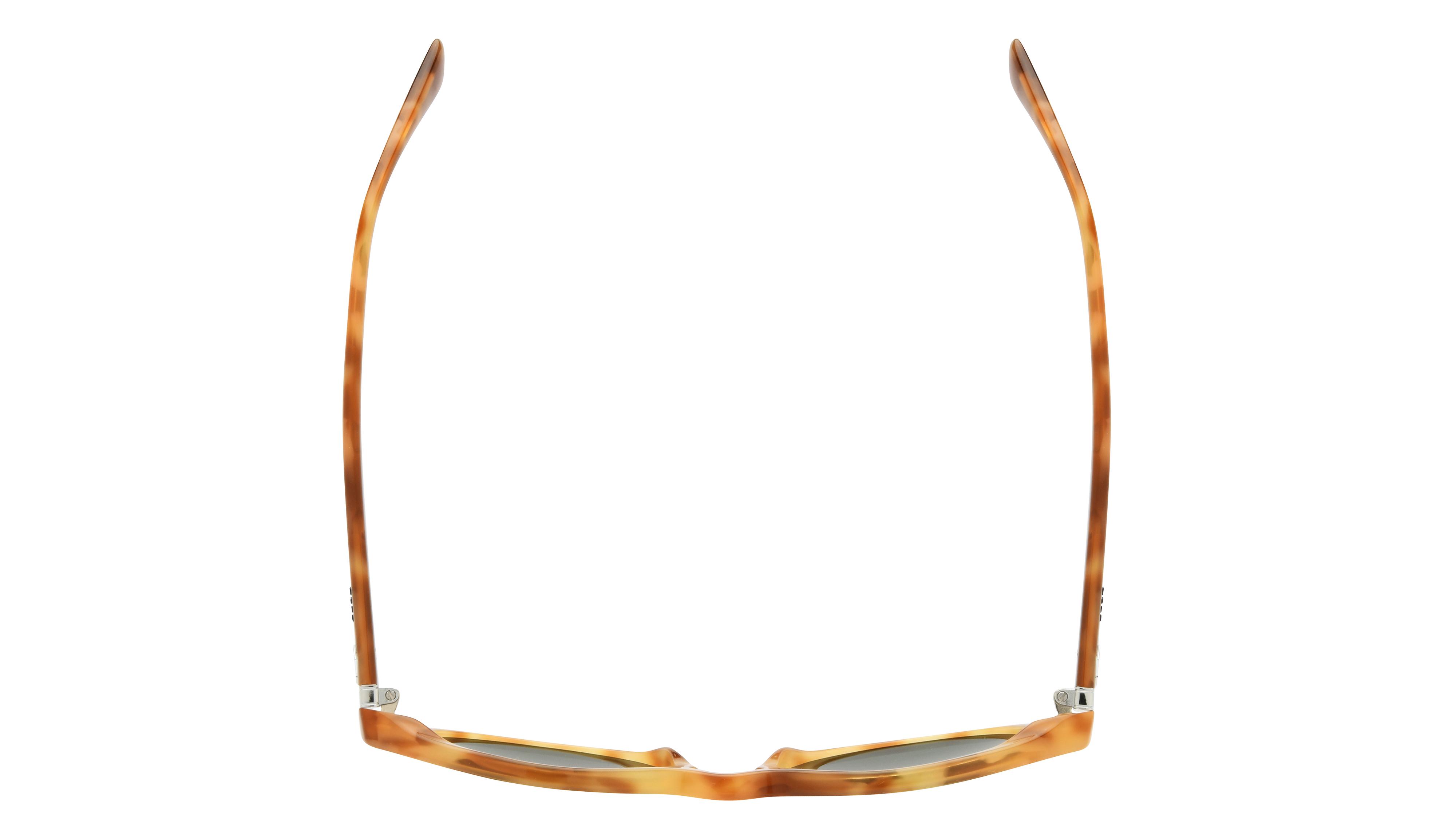 Lunettes de soleil Polo Ralph Lauren Homme Écaille Pantos PH4221 Dessus