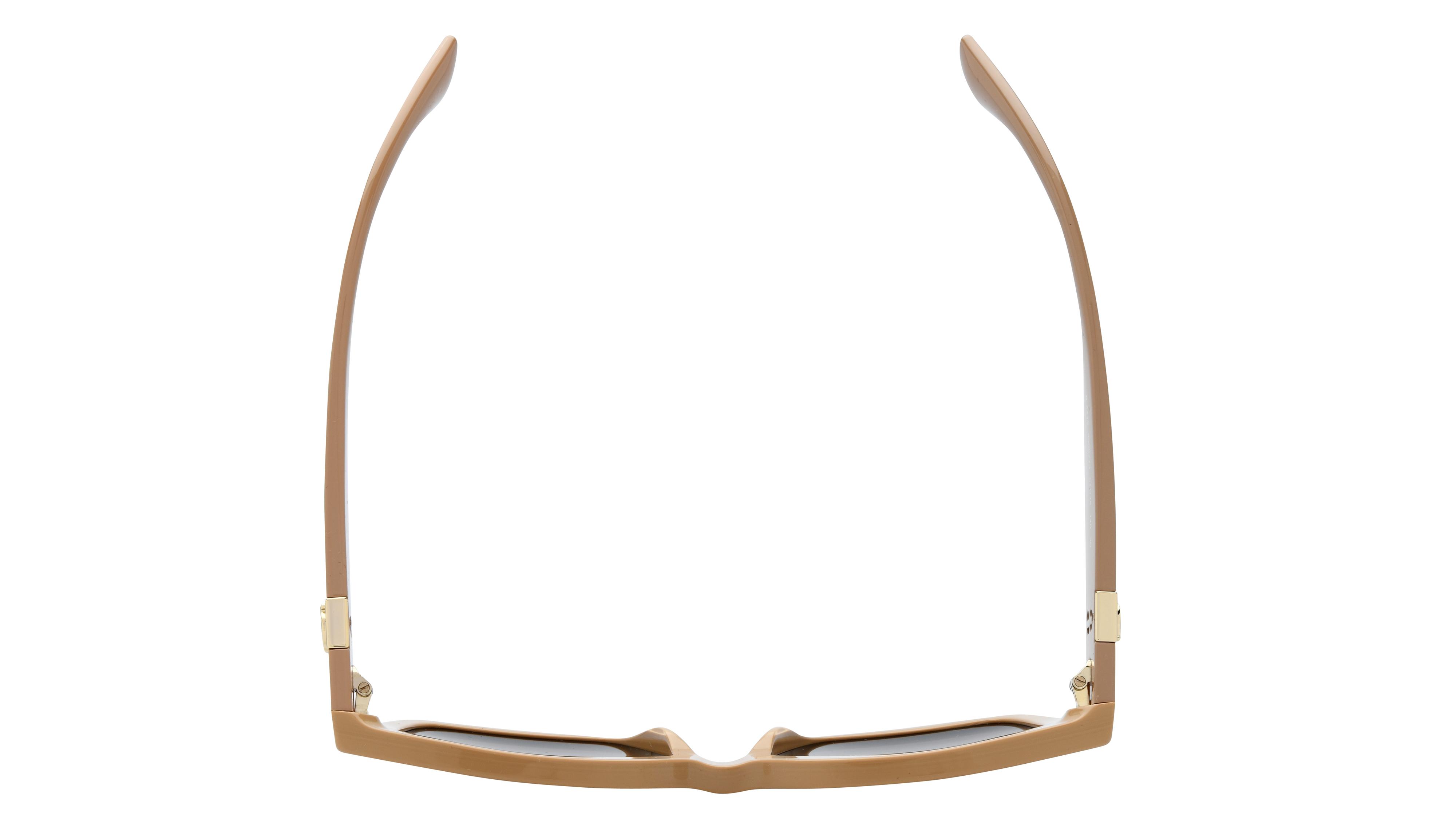 Lunettes de soleil Burberry Femme Marron Carré BE4419 Dessus