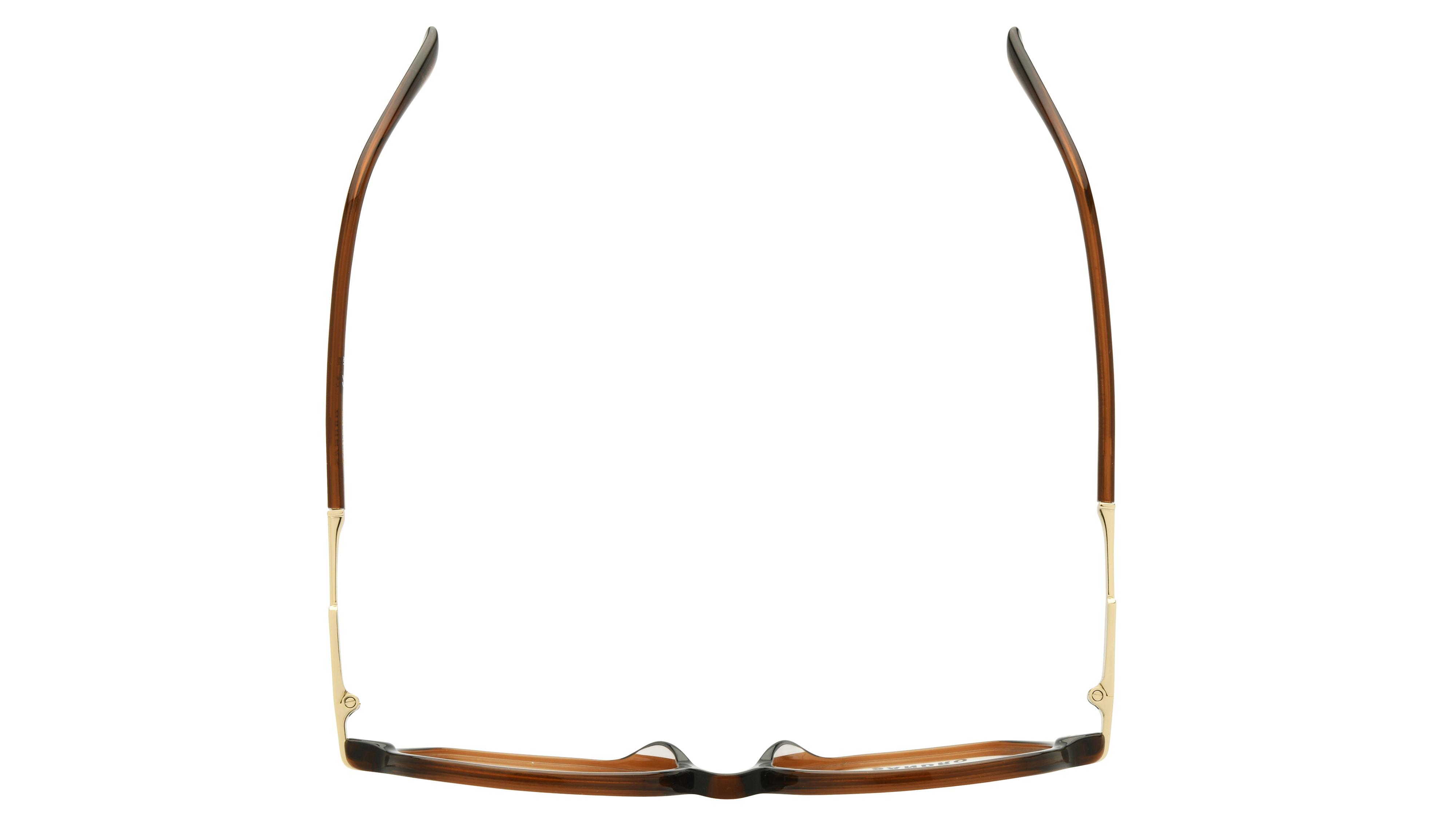 Lunettes de vue Sandro Femme Marron Rectangle sd2067 Dessus
