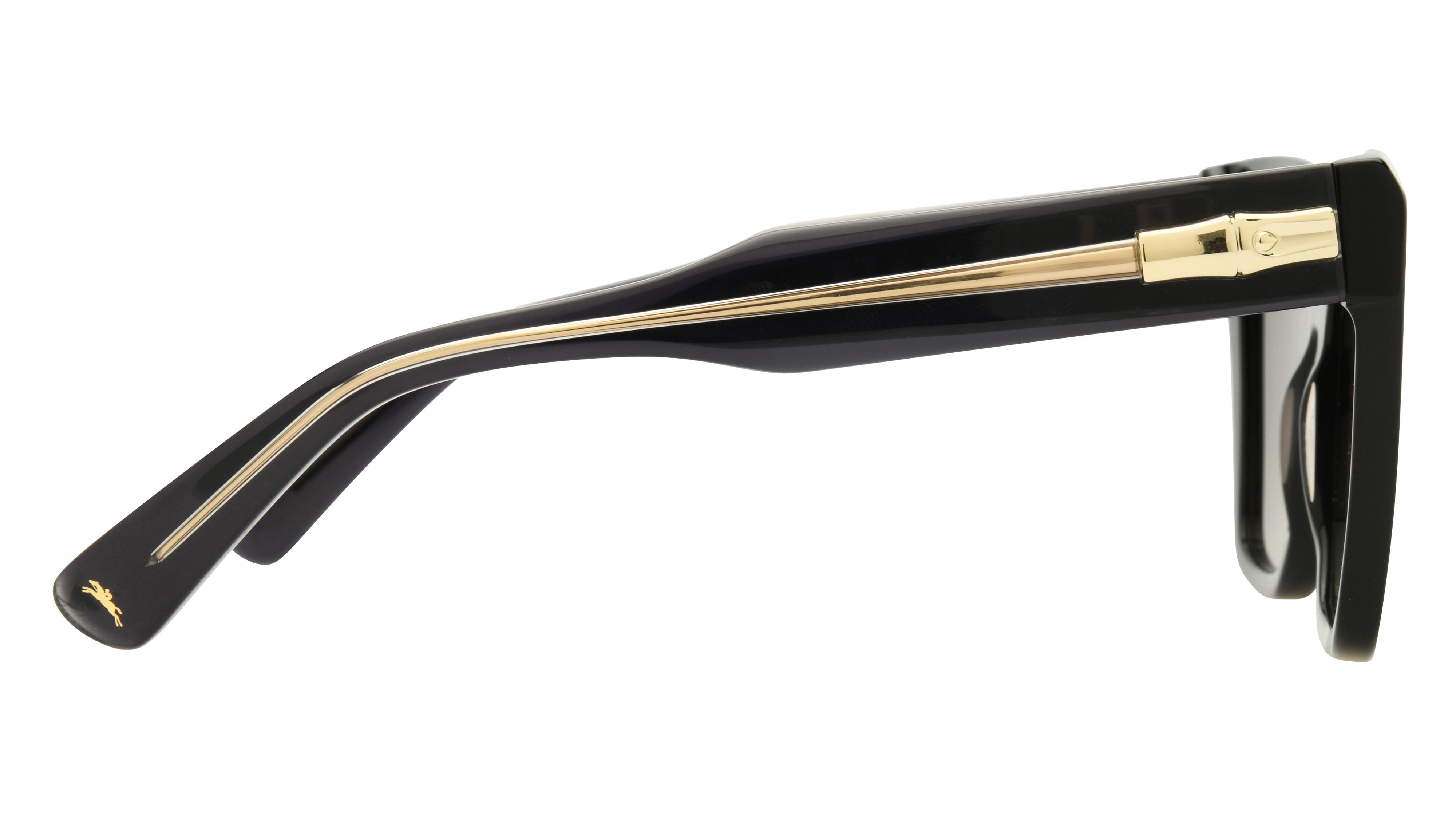 Lunettes de soleil Longchamp Femme Noir Papillon lo778s Droite