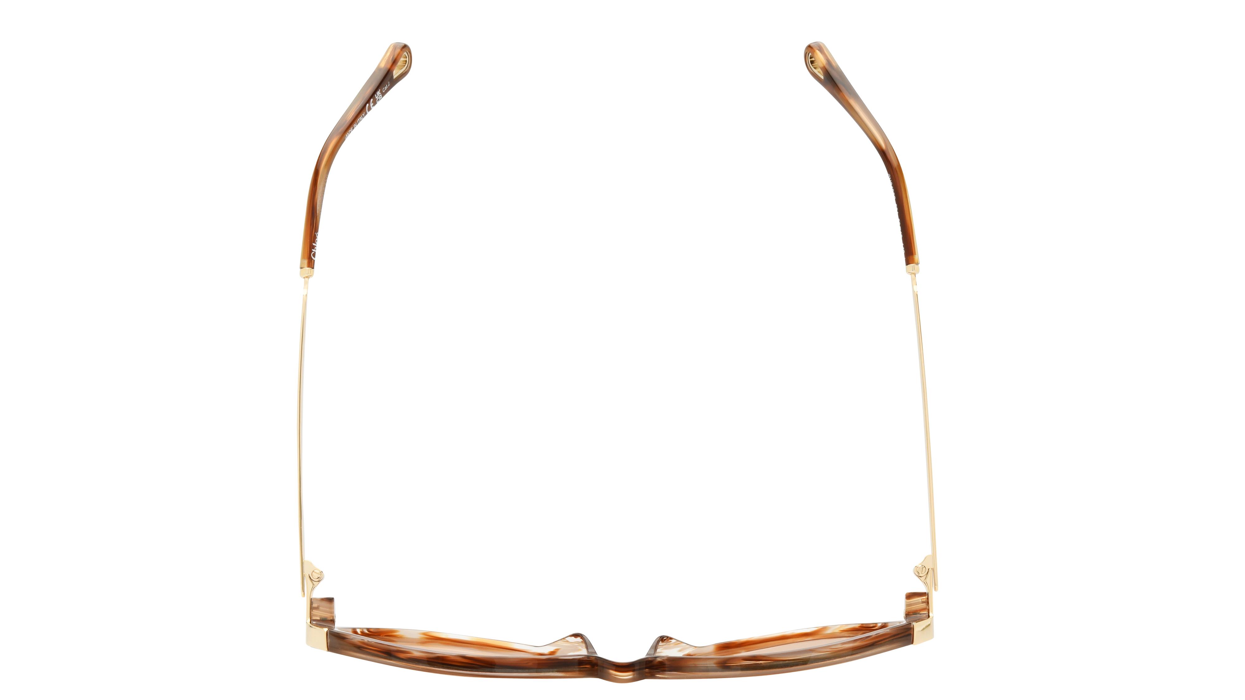 Lunettes de soleil Chloé Femme Écaille Papillon Ch0406S Dessus
