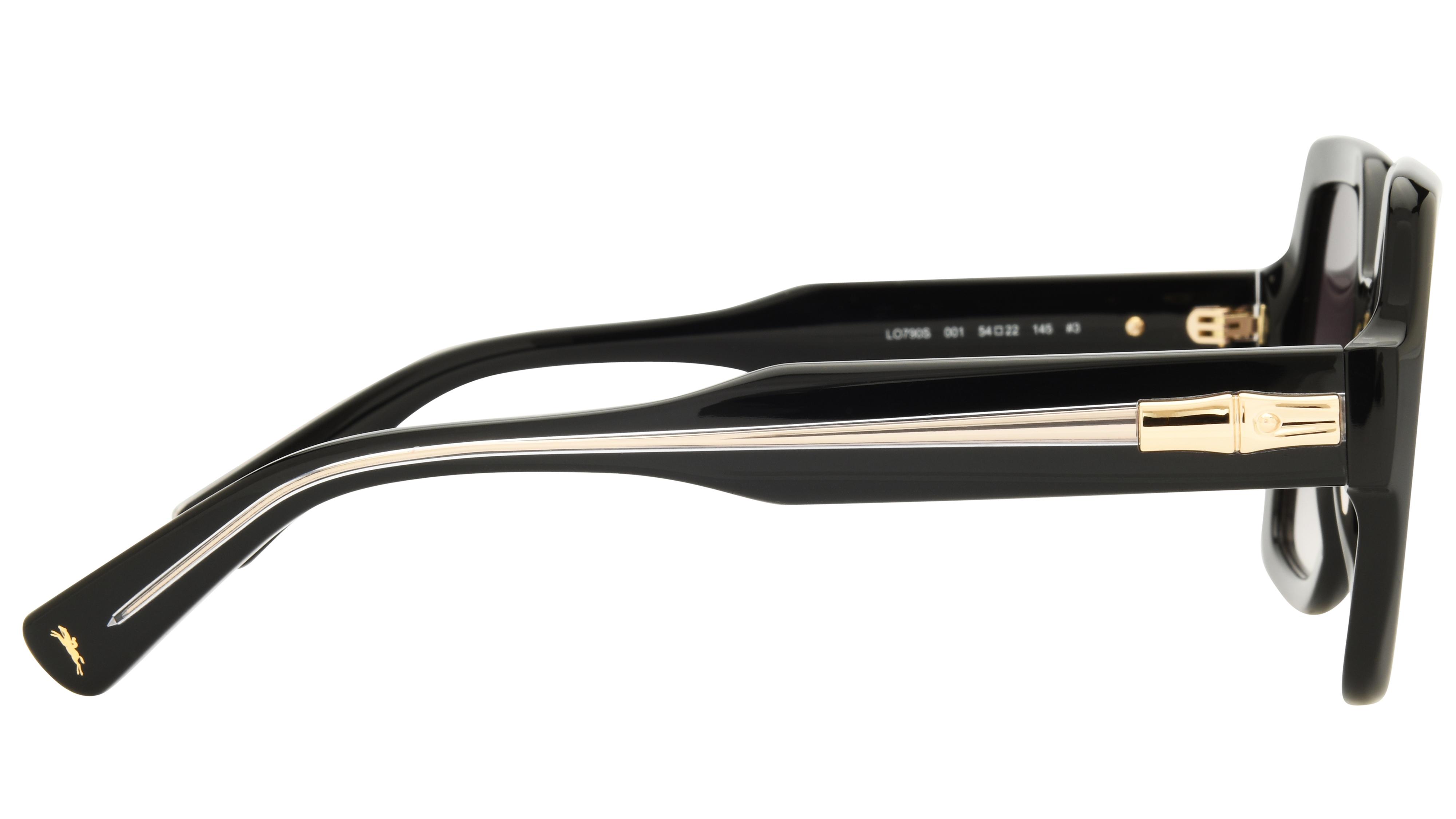 Lunettes de soleil Longchamp Femme Noir Oversize LO790S Droite