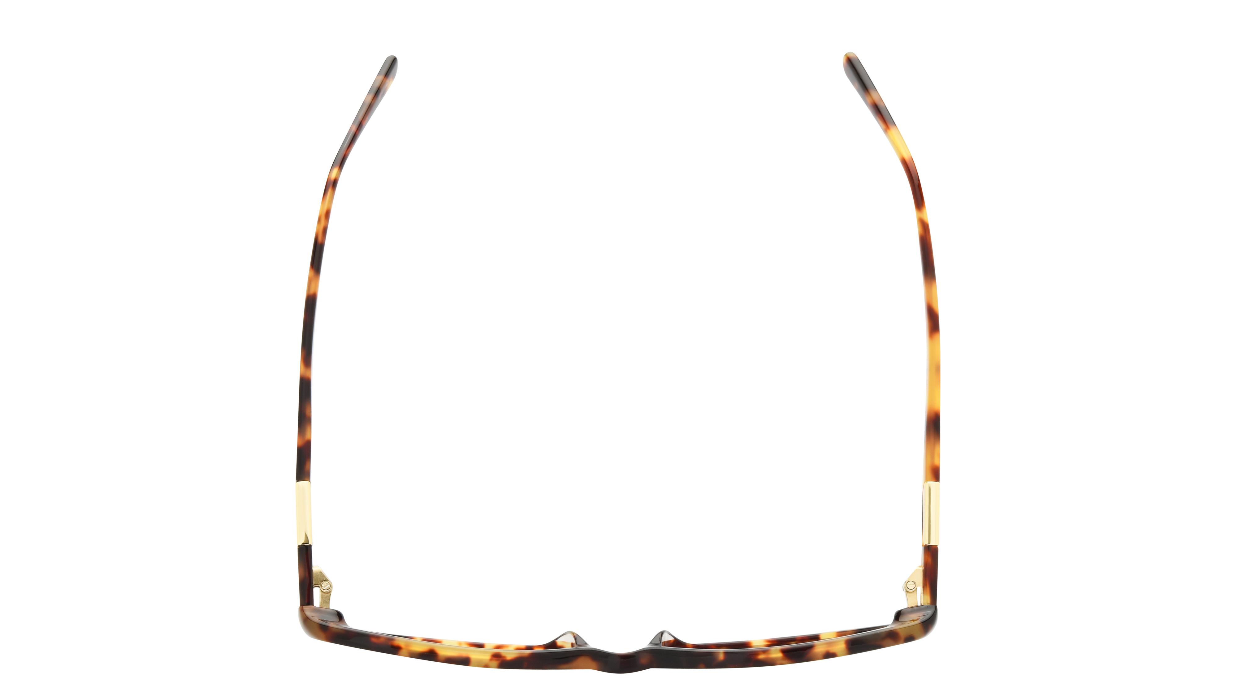Lunettes de soleil Longchamp Femme Écaille Papillon Lo819S Dessus