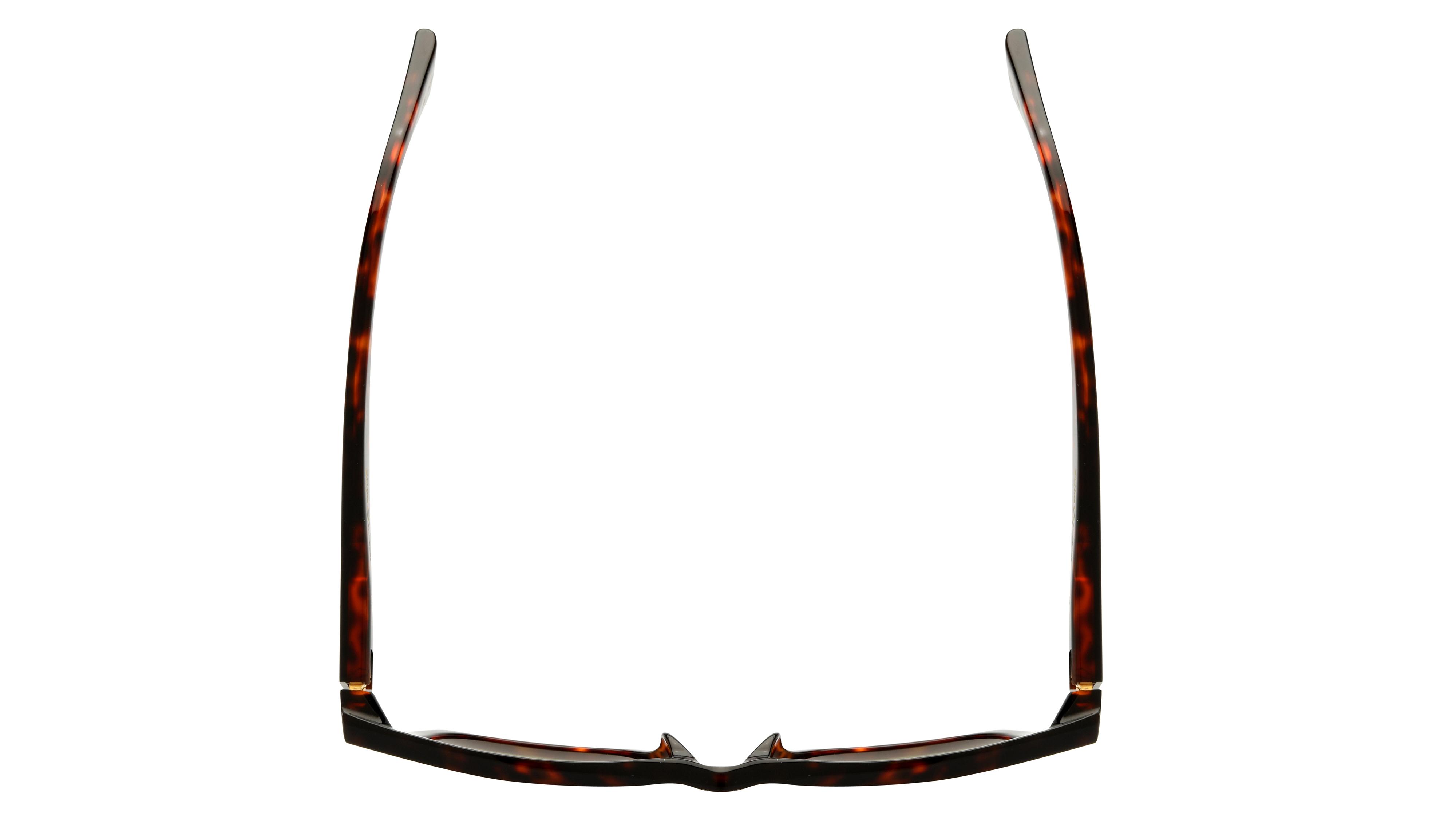 Lunettes de soleil Etnia Barcelona Femme Écaille Rectangle Bertini Dessus