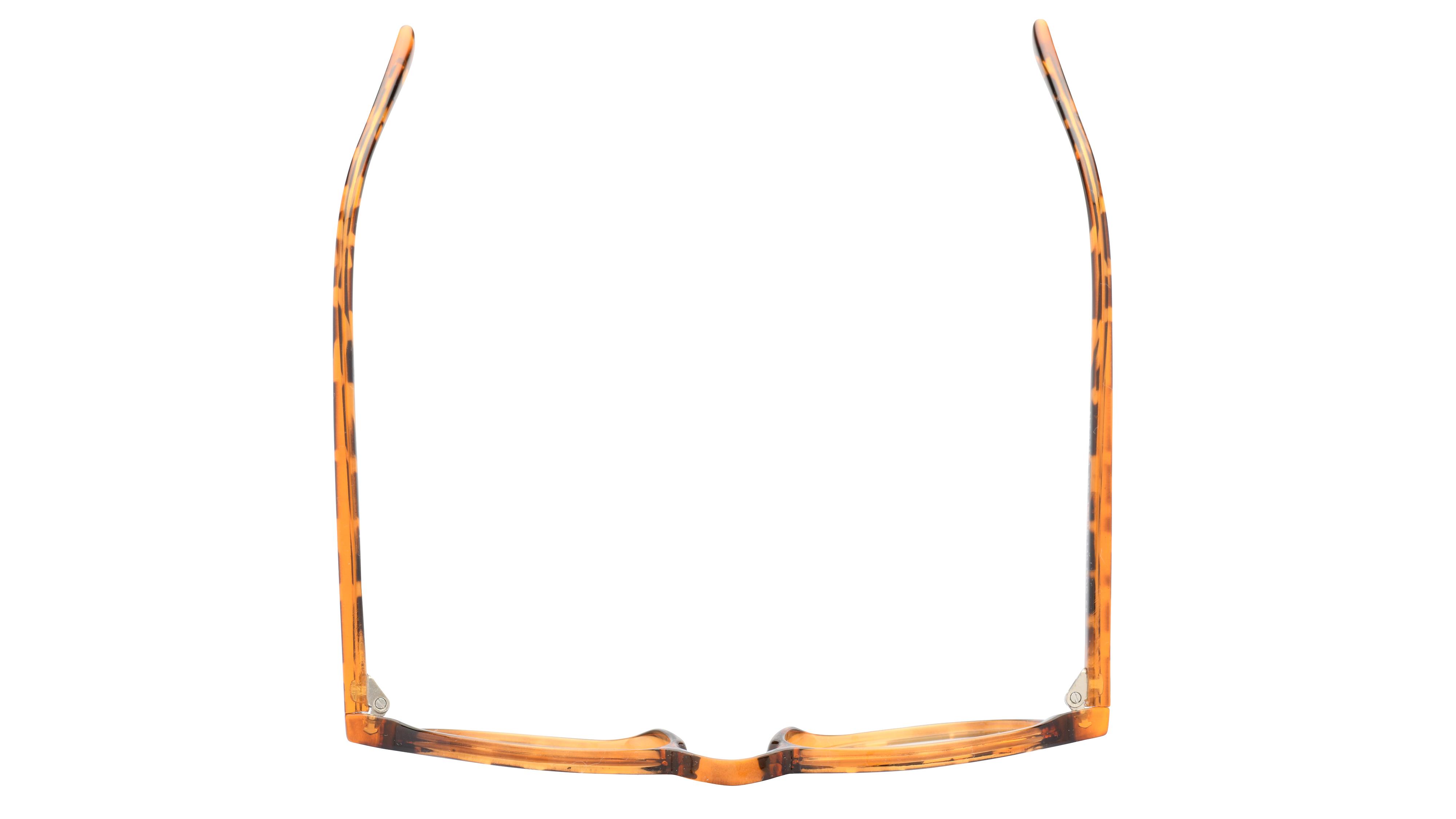 Lunettes de vue Alternance Mixte Écaille Pantos Alt22114 Dessus