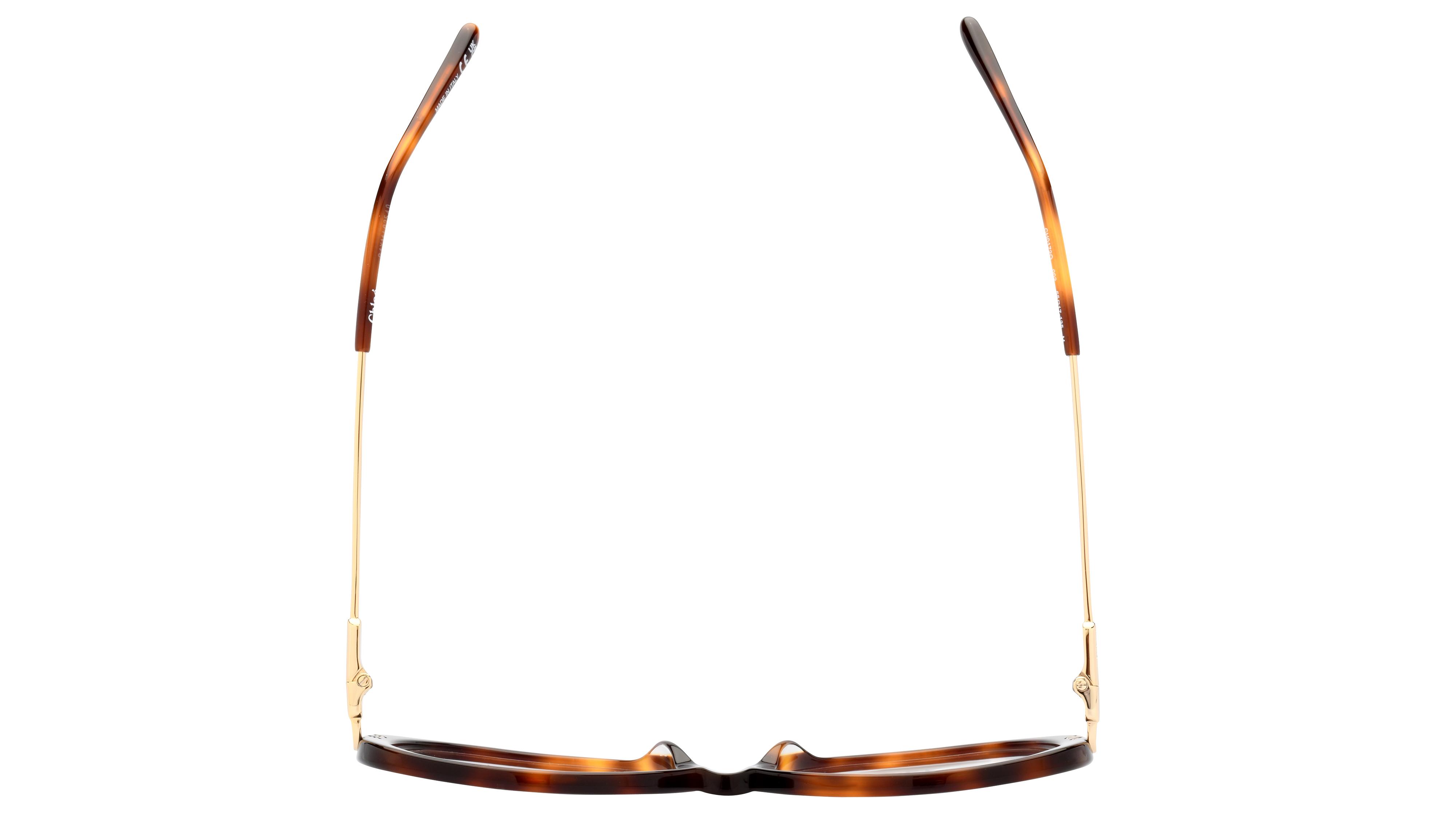 Lunettes de vue Chloé Femme Écaille Ronde Ch0172O Dessus