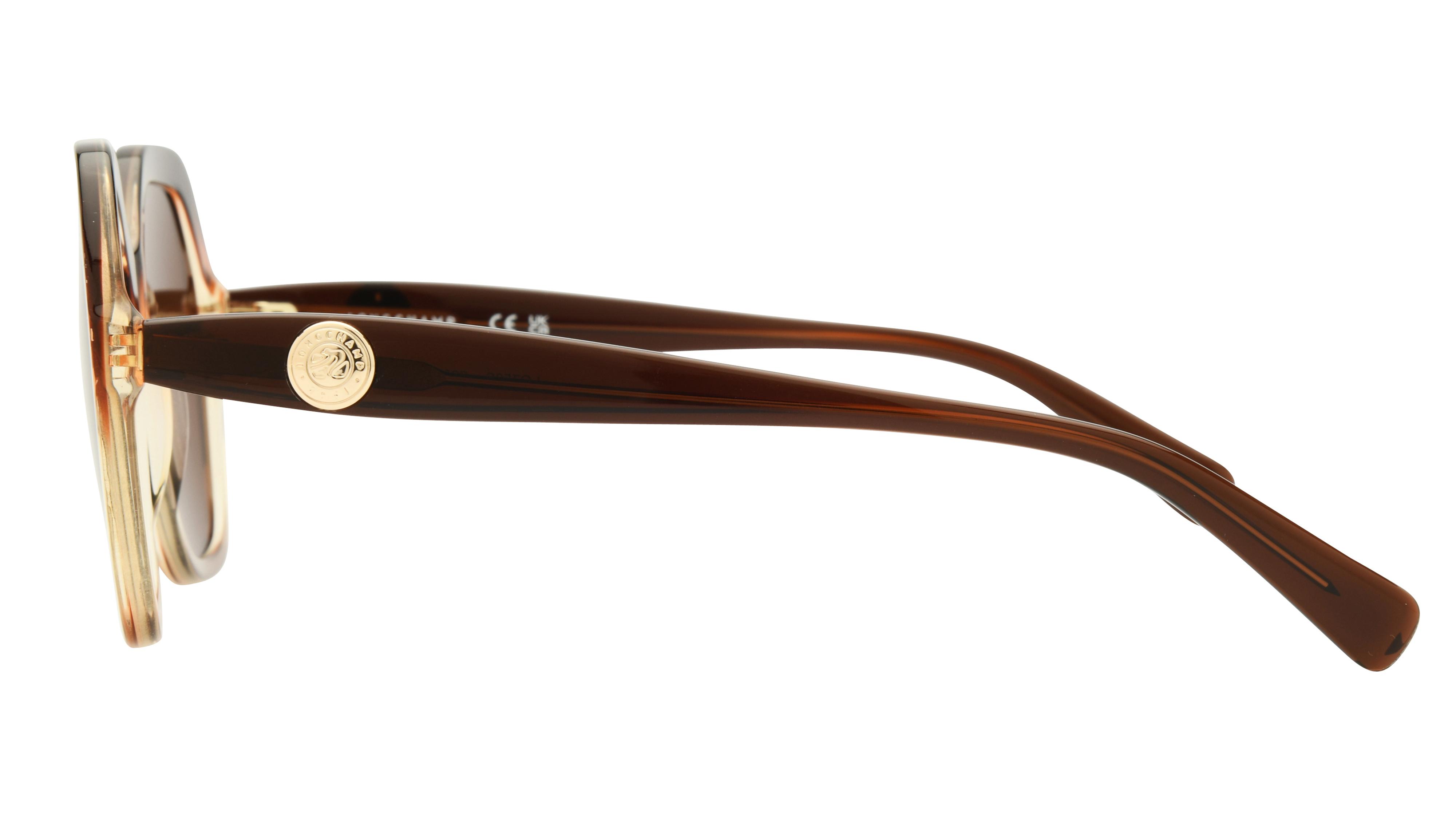 Lunettes de soleil Longchamp Femme Marron Rectangle lo759s Gauche