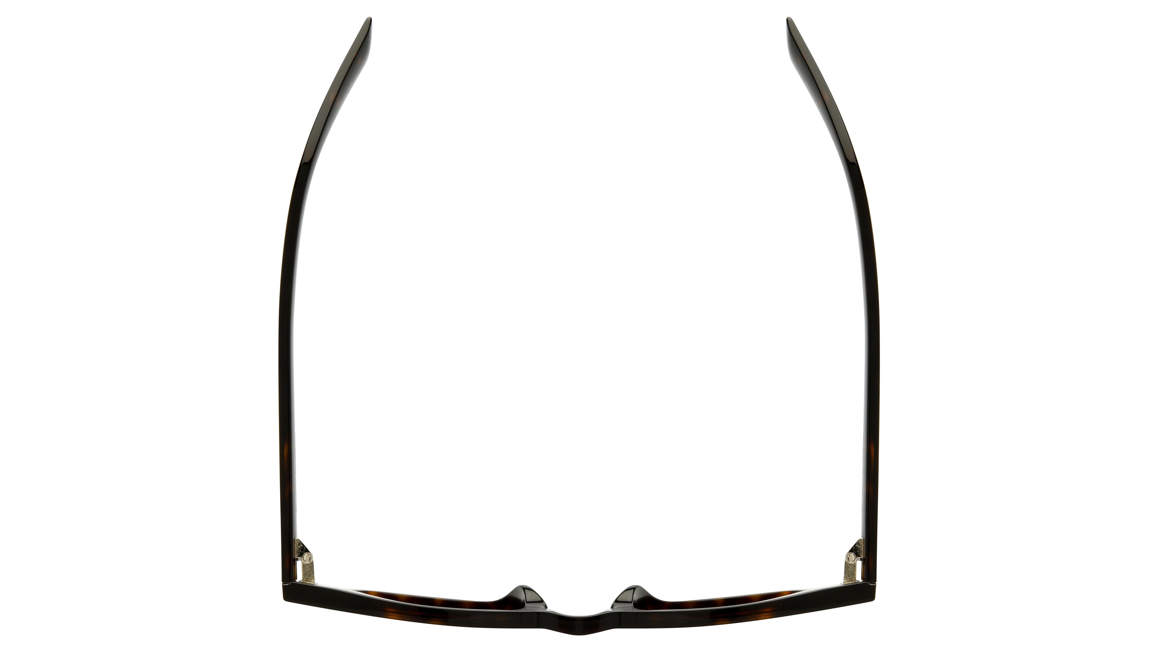 Lunettes de soleil Saint Laurent Mixte Écaille Pantos SL Dessus