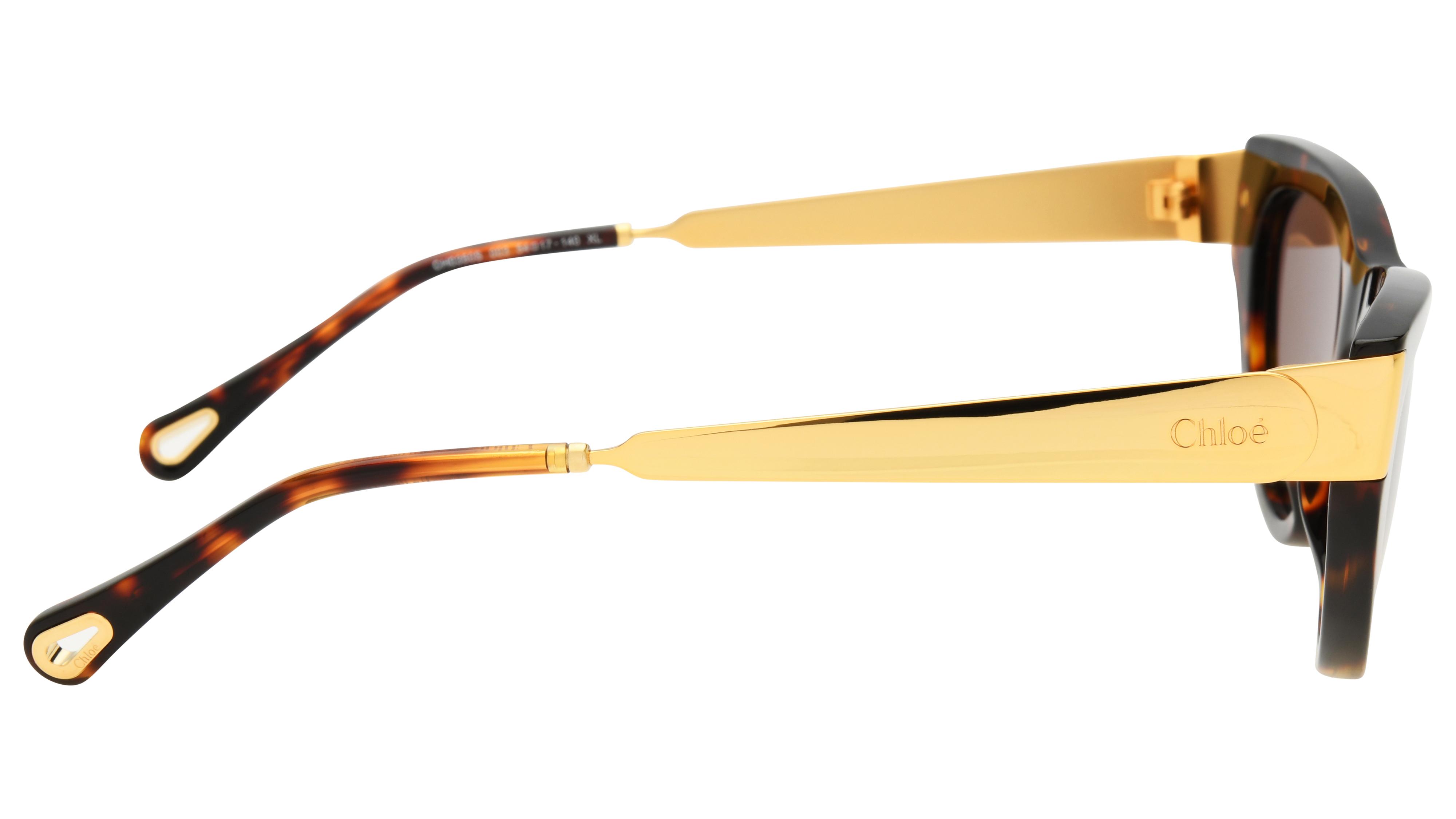 Lunettes de soleil Chloé Femme Écaille Papillon ch0350s Droite