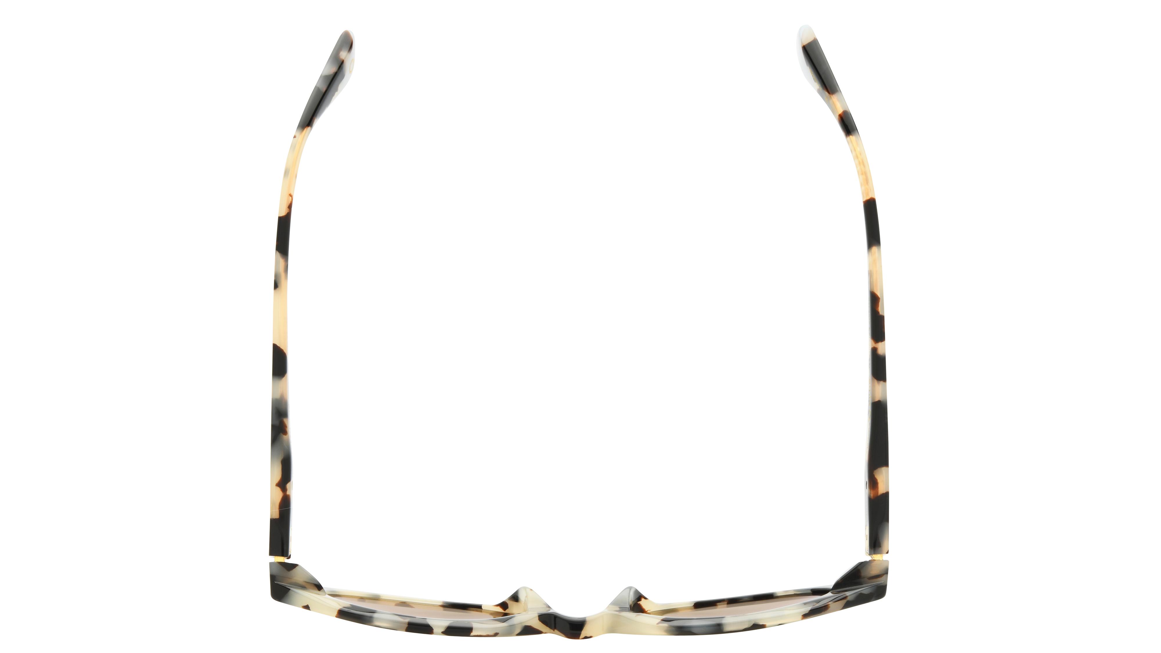 Lunettes de soleil Etnia Barcelona Femme Écaille Angulaire Fresh Dessus