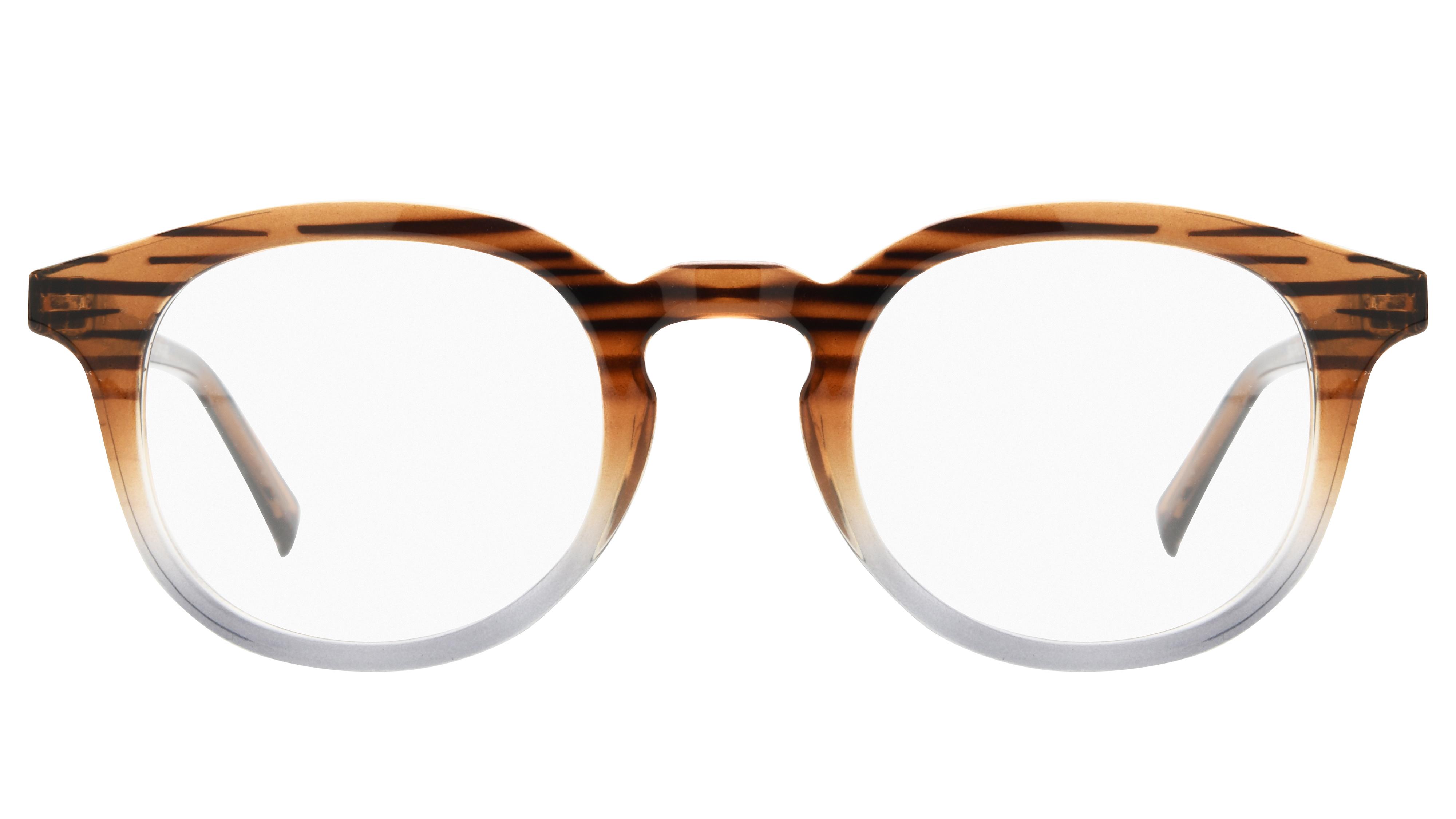 Lunettes anti-lumière bleue Signature Krys Mixte Marron Pantos Skpap-E2302 Face