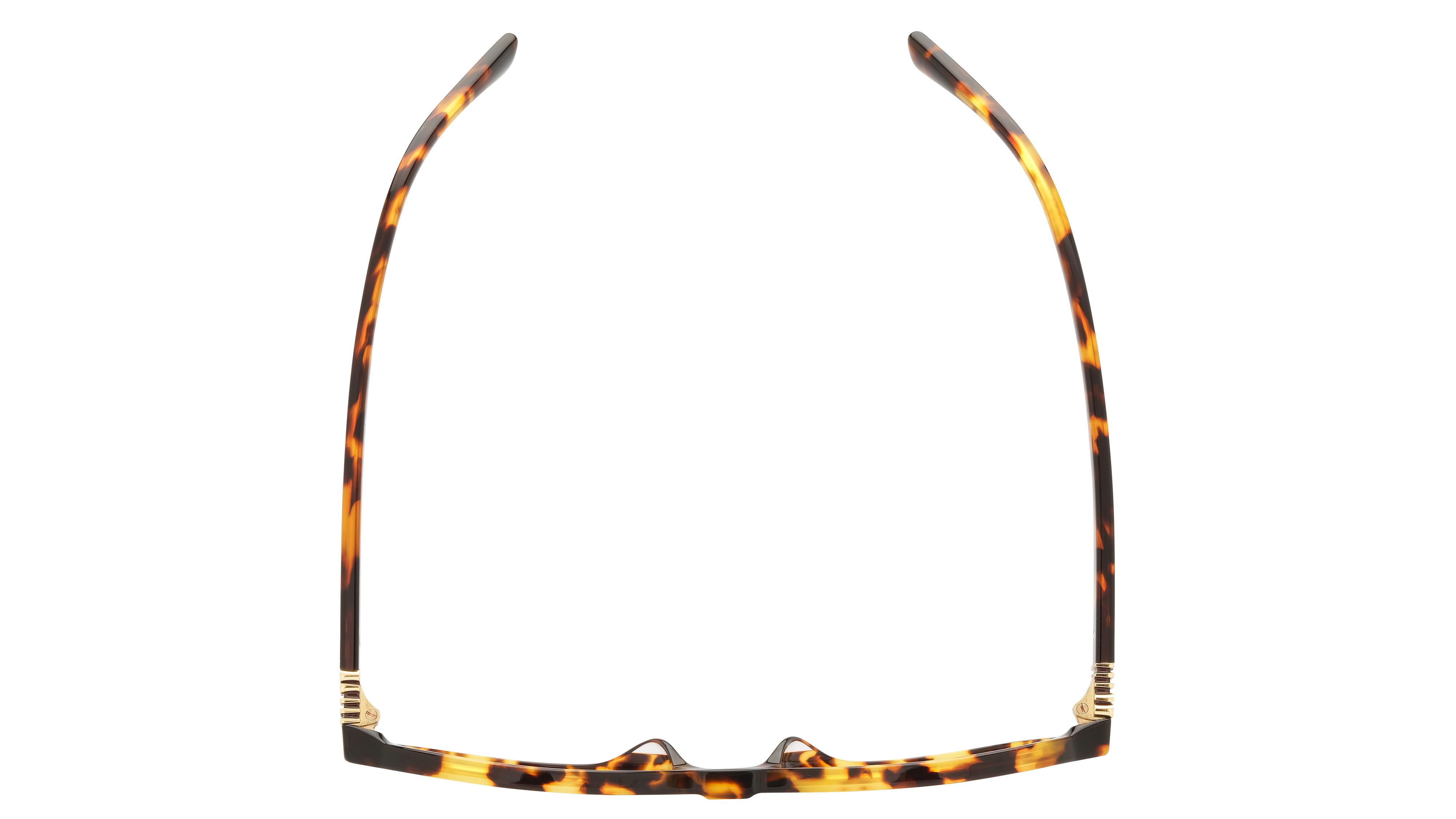 Lunettes de vue Miu Miu Femme Écaille Ovale MU Dessus