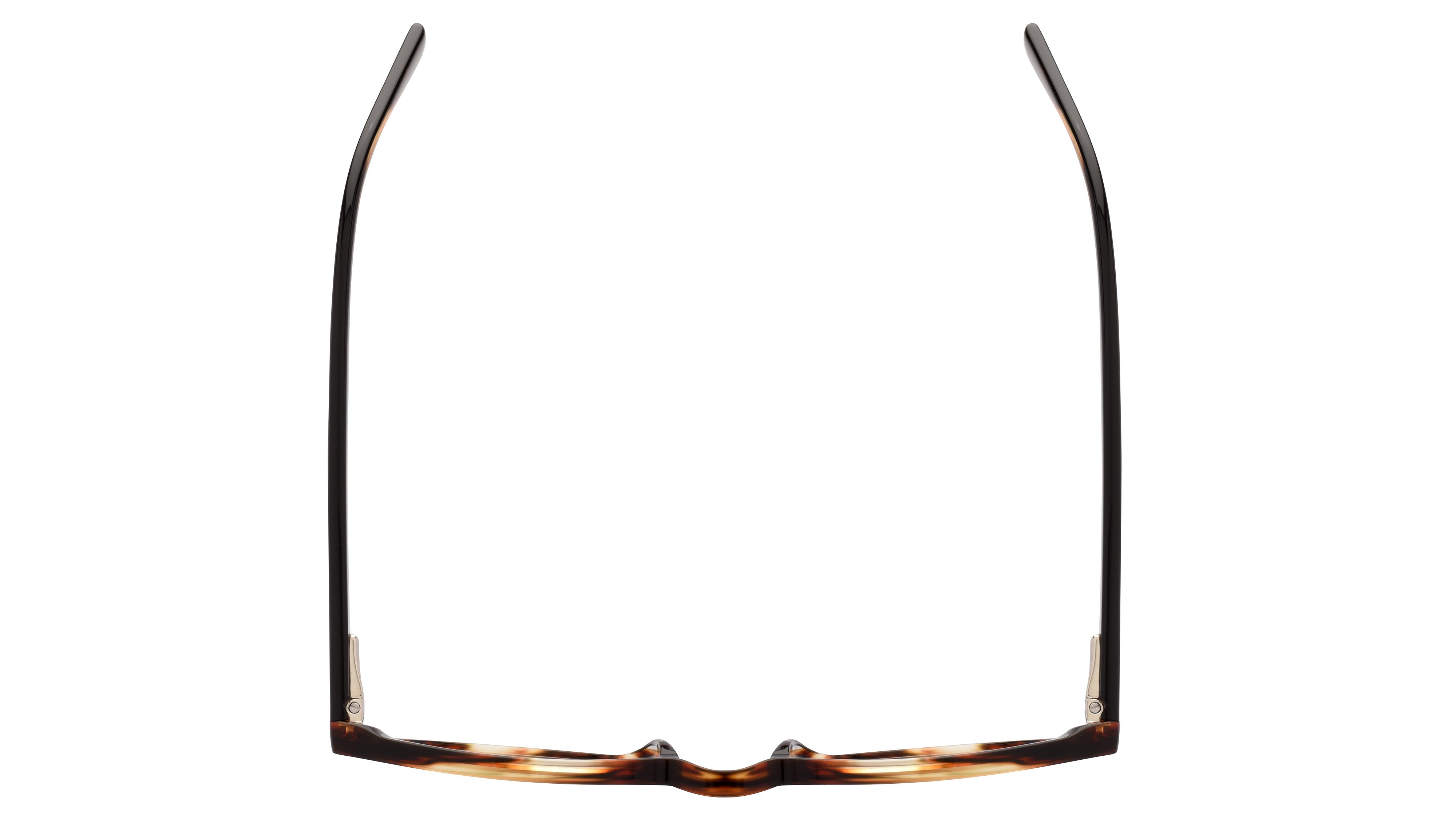 Lunettes de vue Le Coq Sportif Homme Écaille  Lcs2203 Dessus