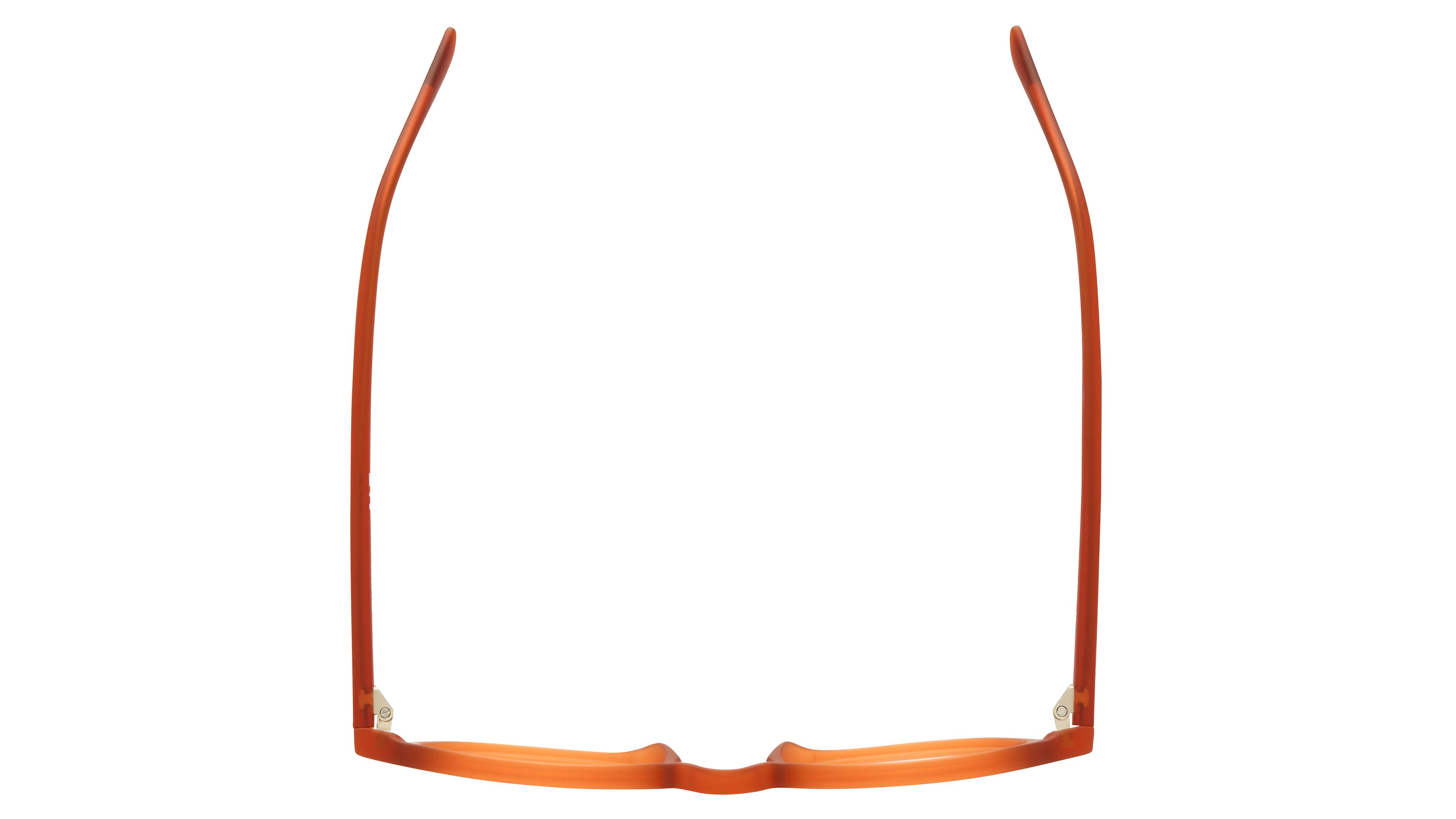 Lunettes de vue Alternance Homme Orange Pantos Alt26103 Dessus