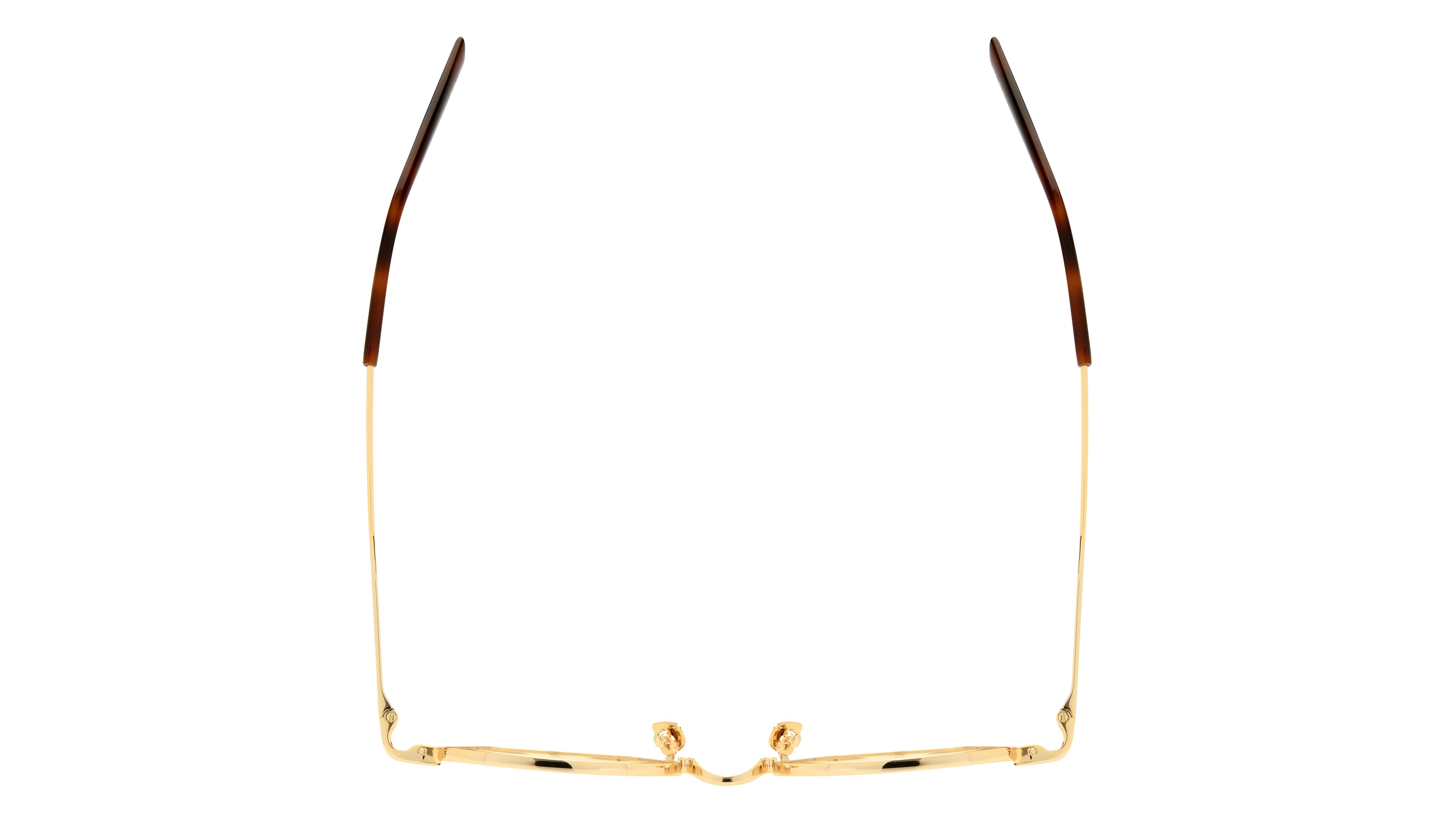 Lunettes de vue Saint Laurent Homme Or Ronde Sl Dessus