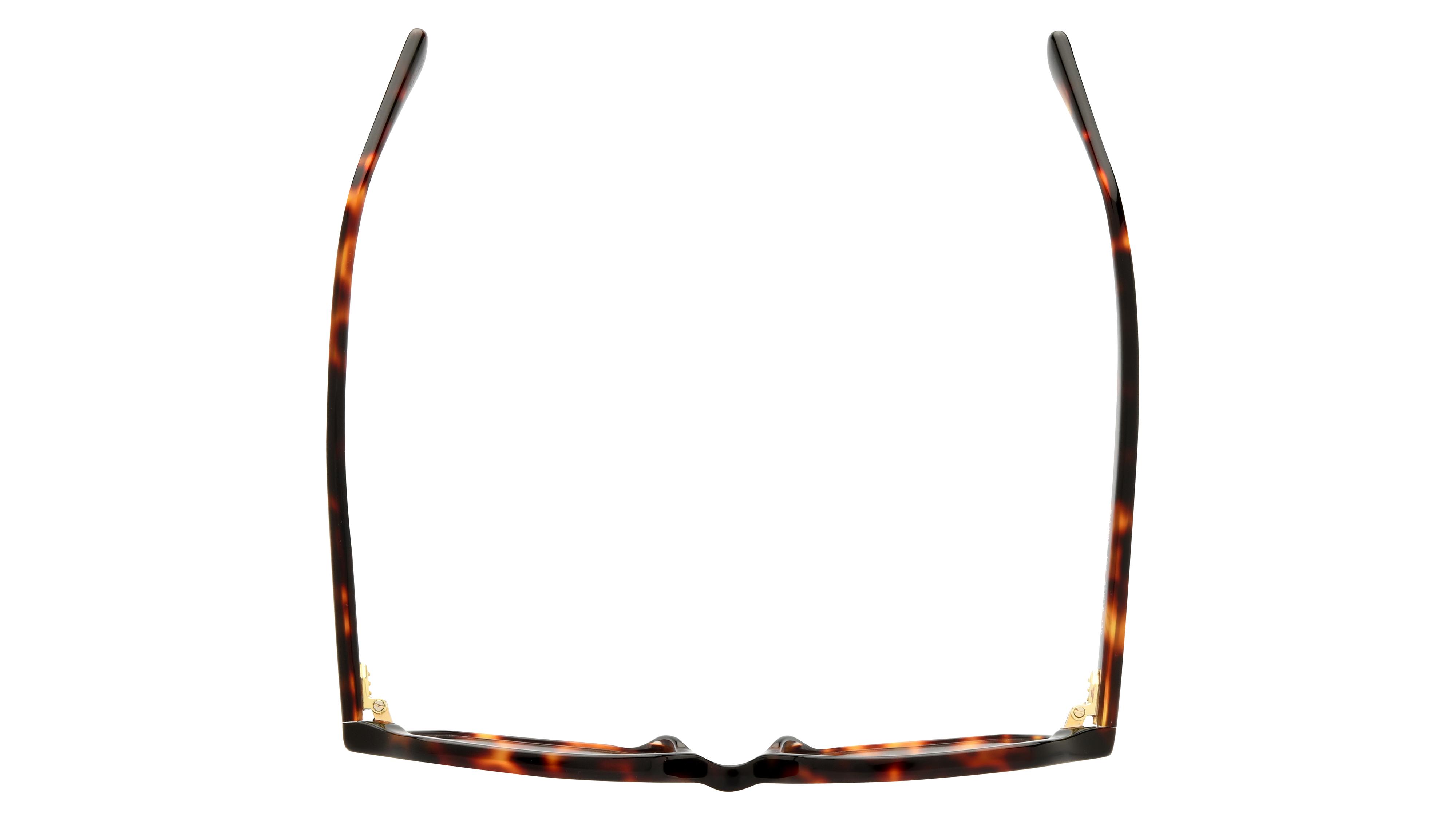 Lunettes de vue Sandro Femme Écaille Rectangle SD2046 Dessus